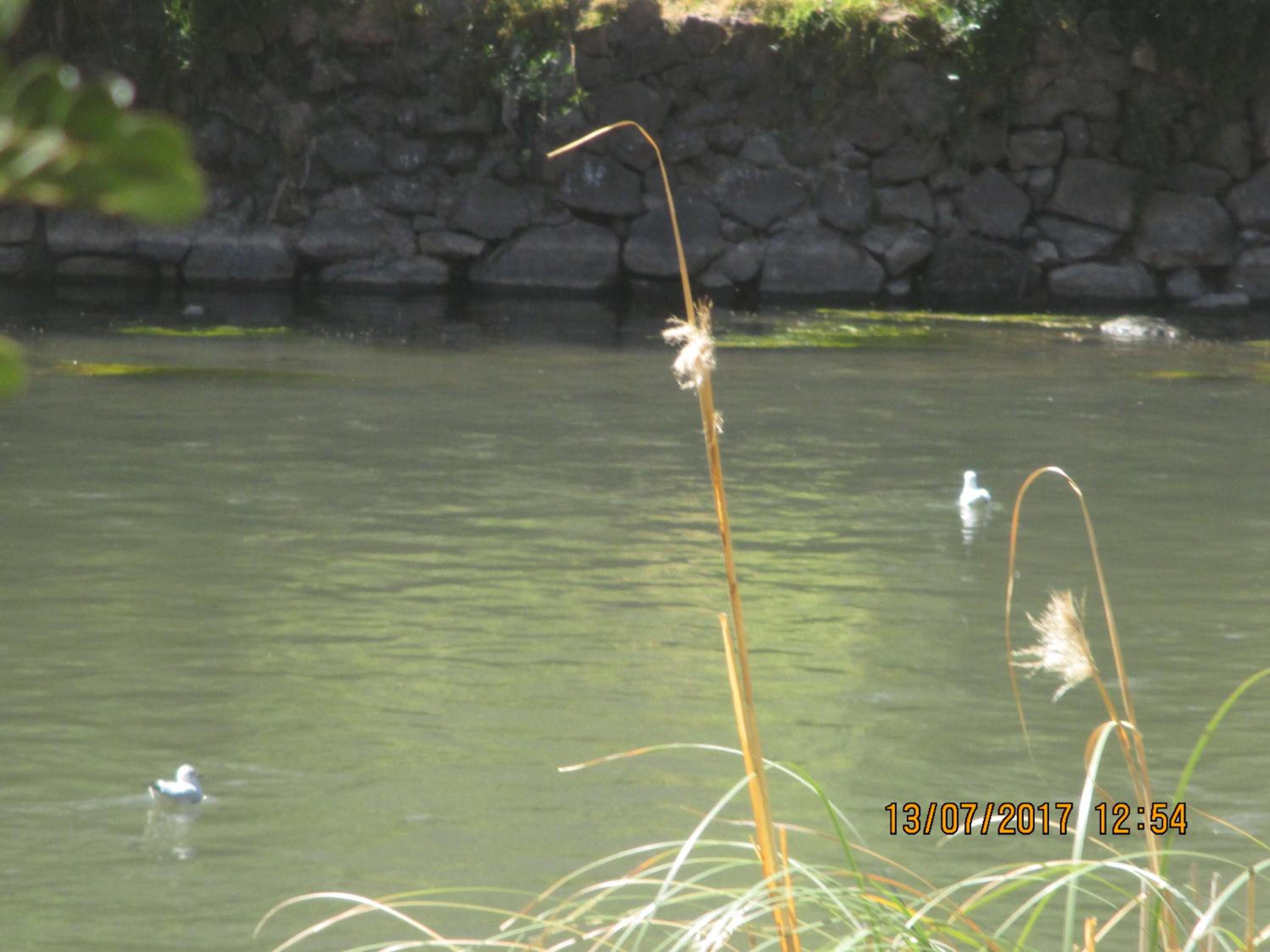 Photo 48