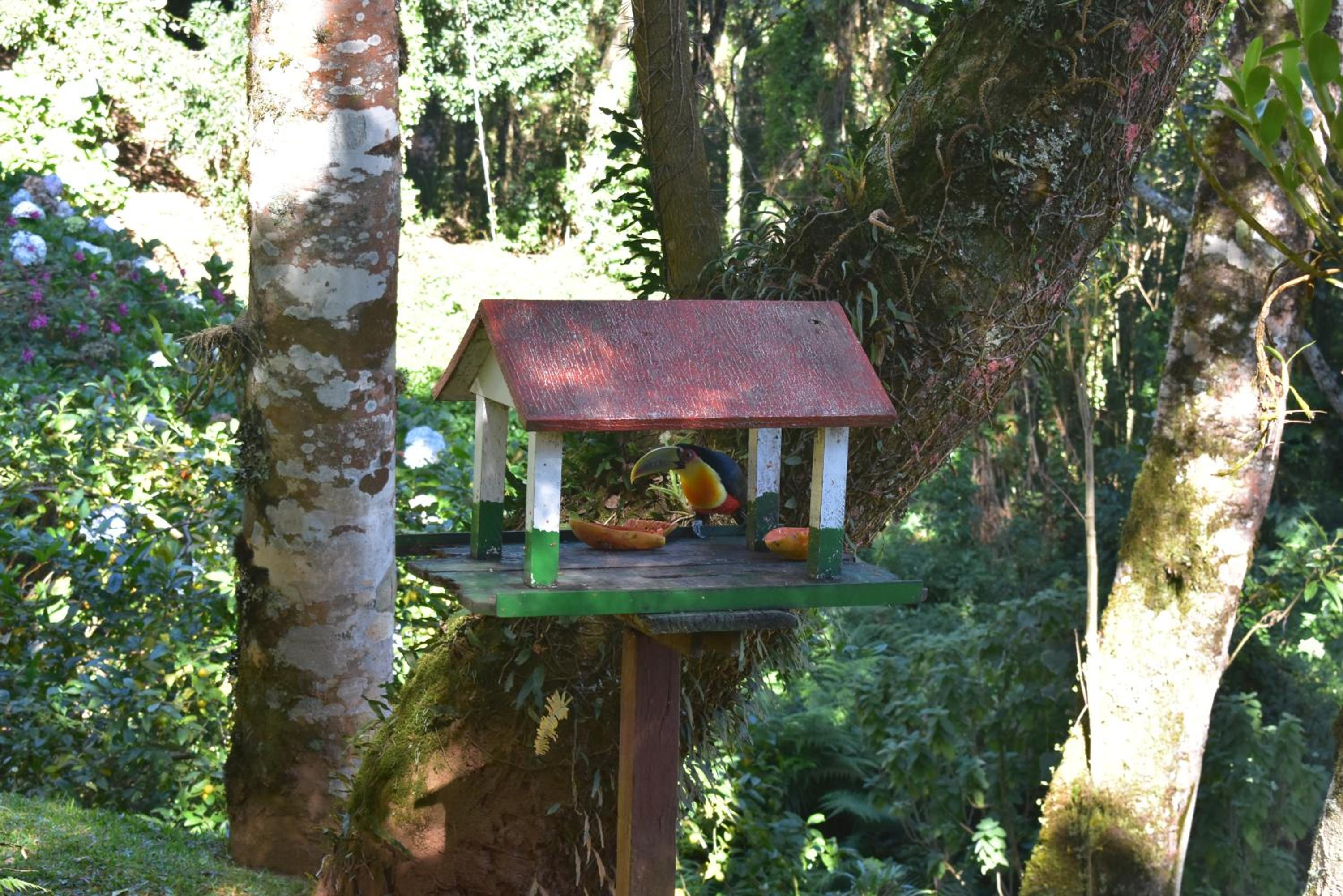 Pousada Amanita Monte Verde