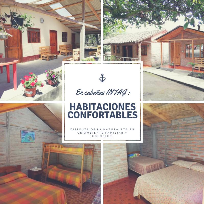 La Estancia de Intag, CABAÑAS INTAG view 2