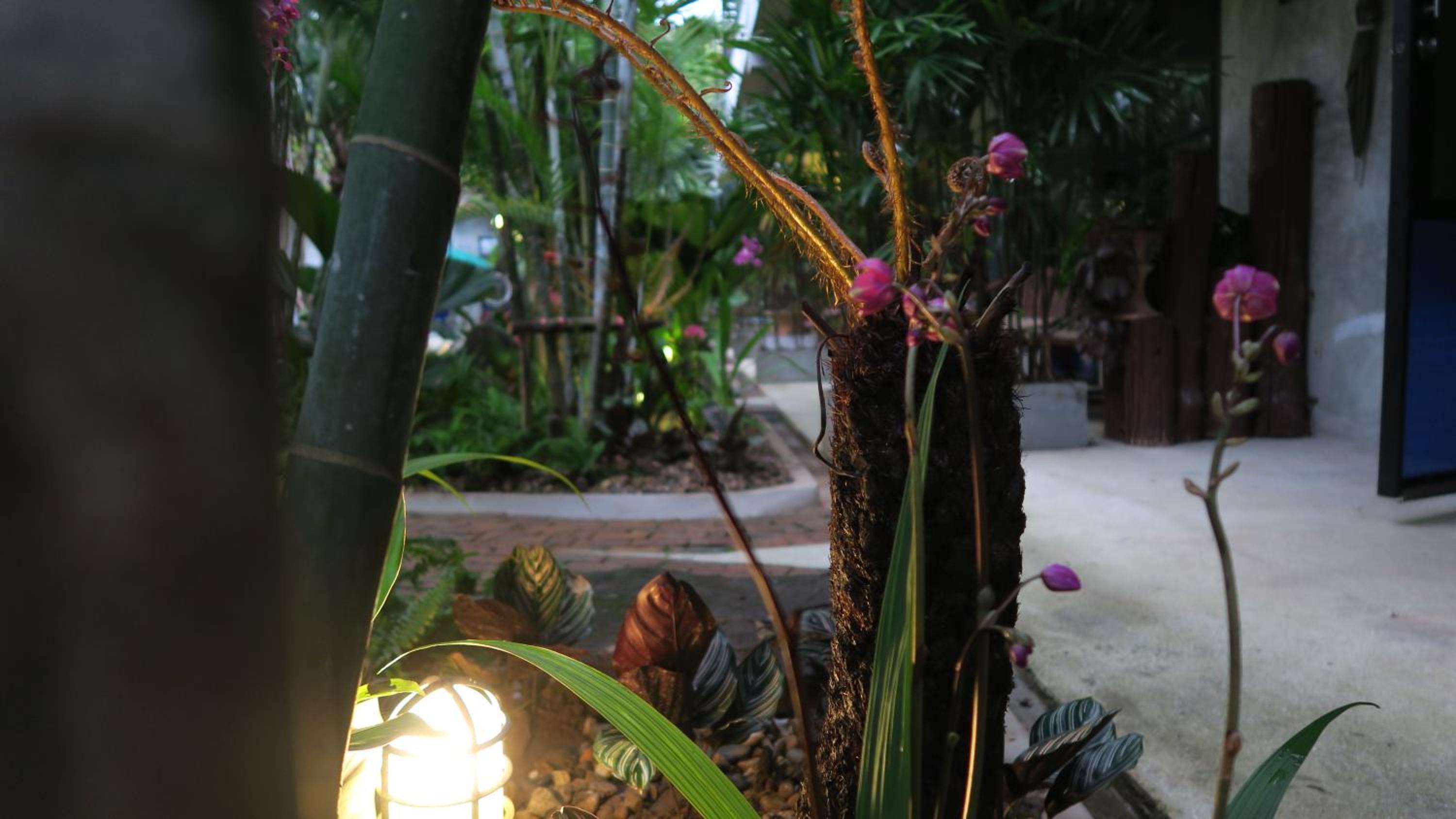 The Picturebook Guesthouse