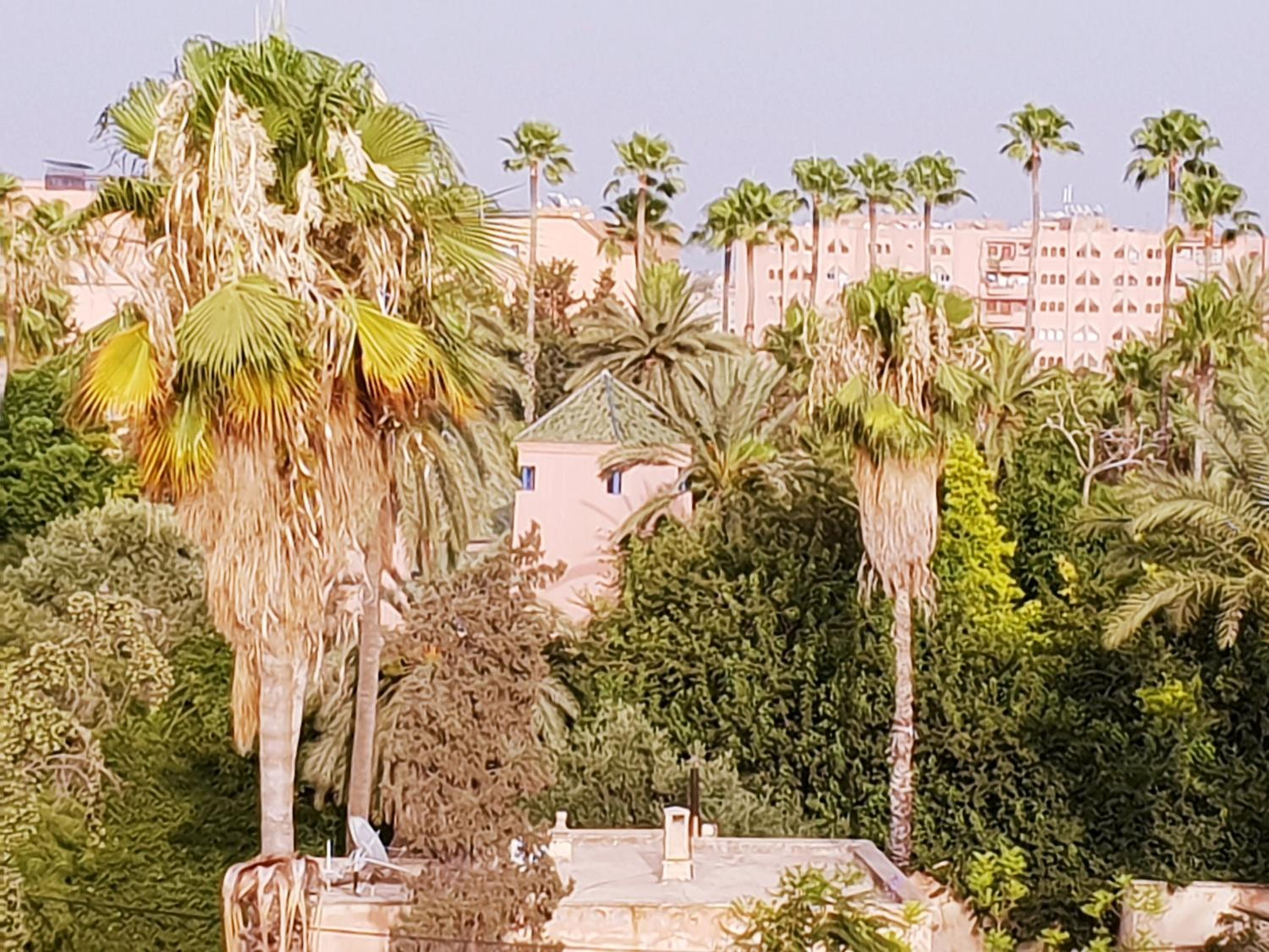 Sabor Apartments Anas Majorelle