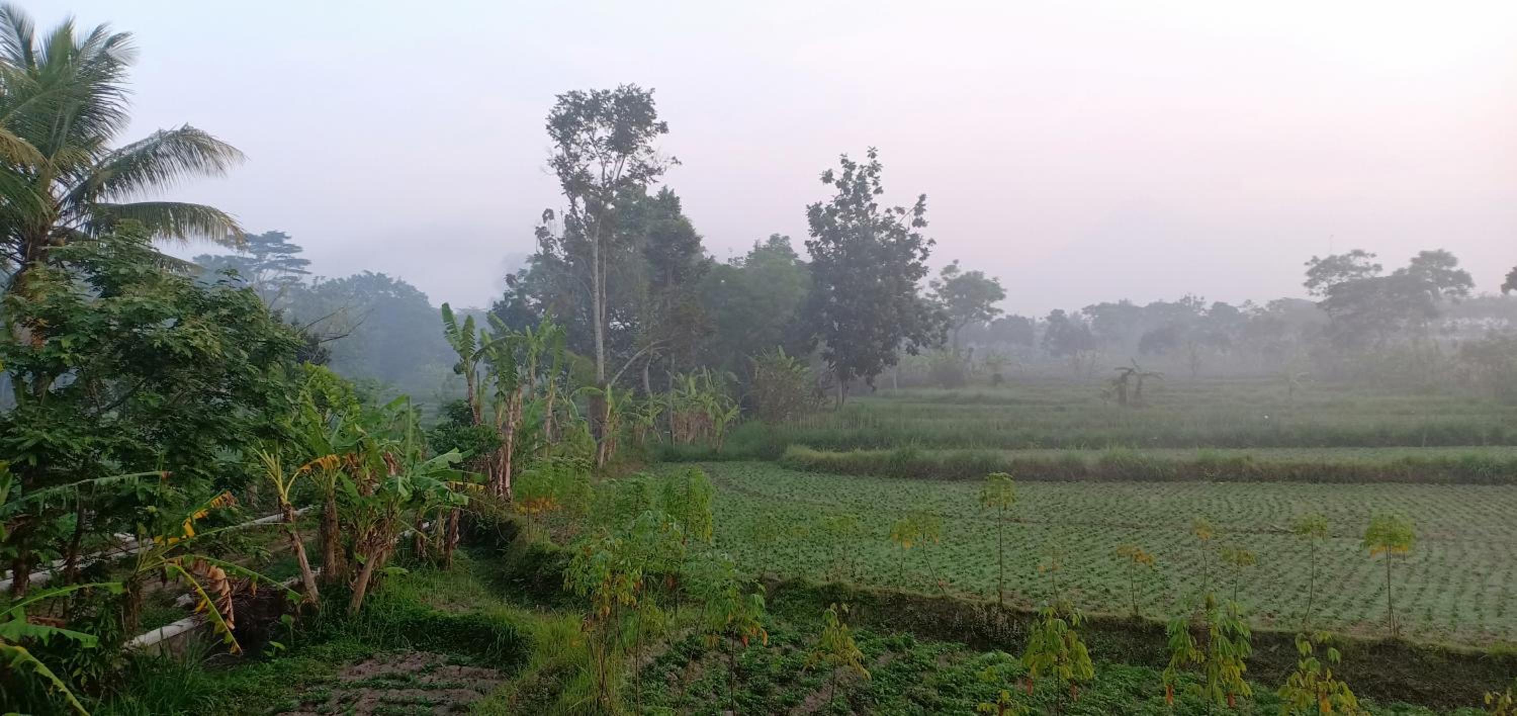 Joglo Mriyunan