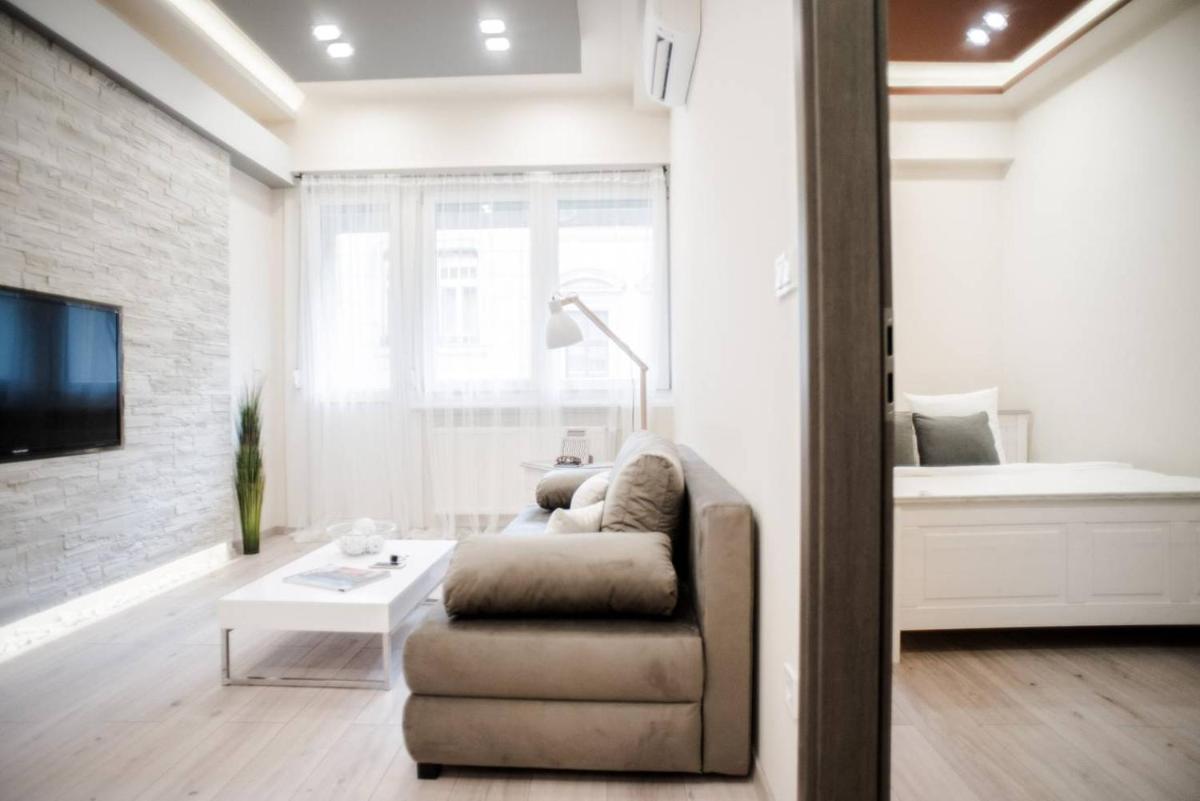 New luxury apartment in the center with A/C view 3