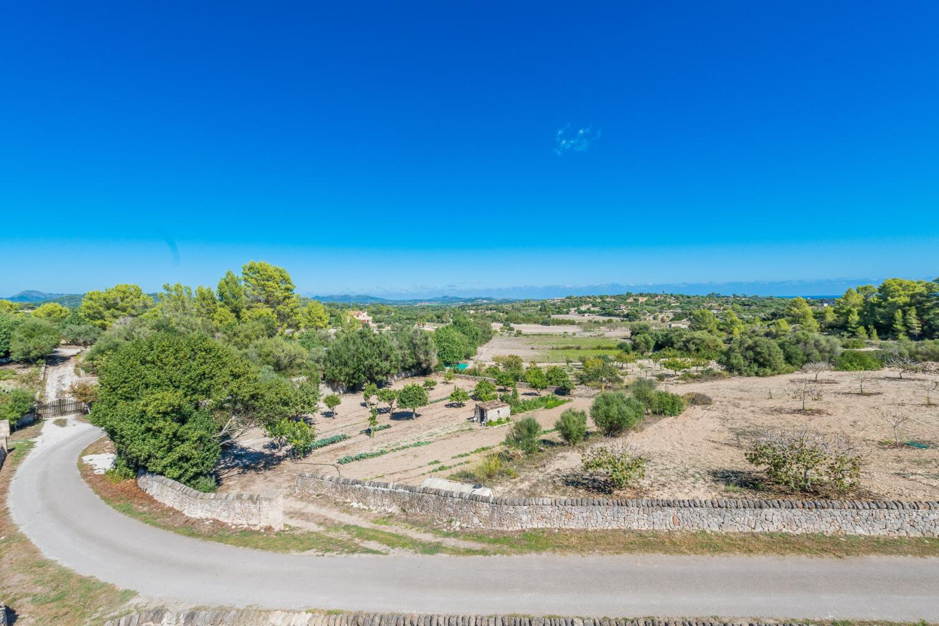 Finca Son Colom