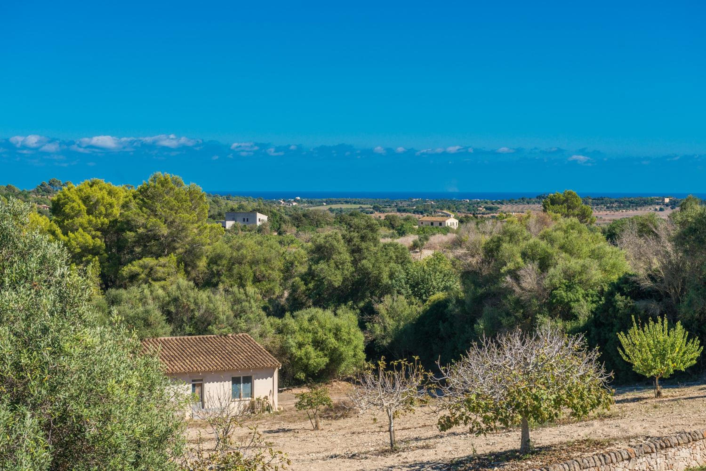 Finca Son Colom