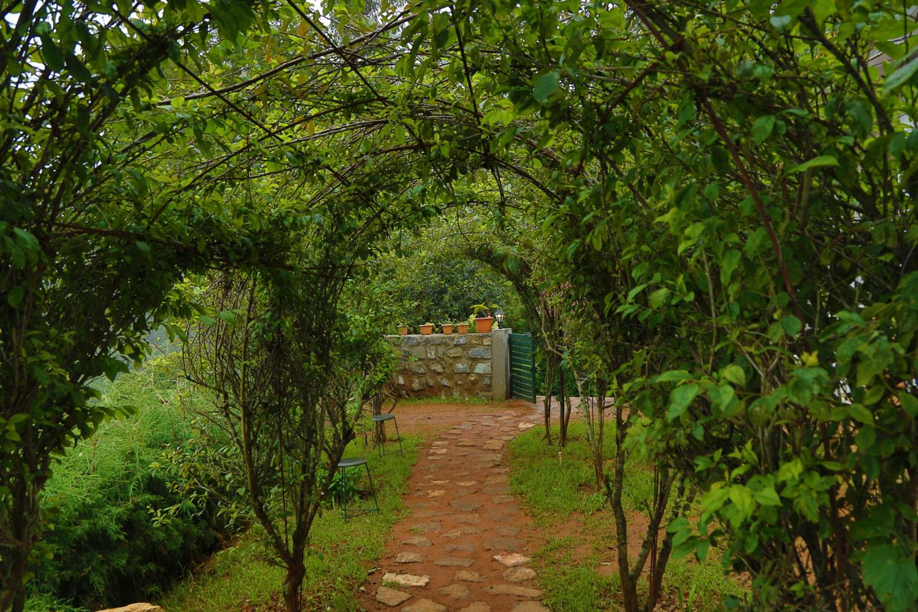 The Tamarillo view 5