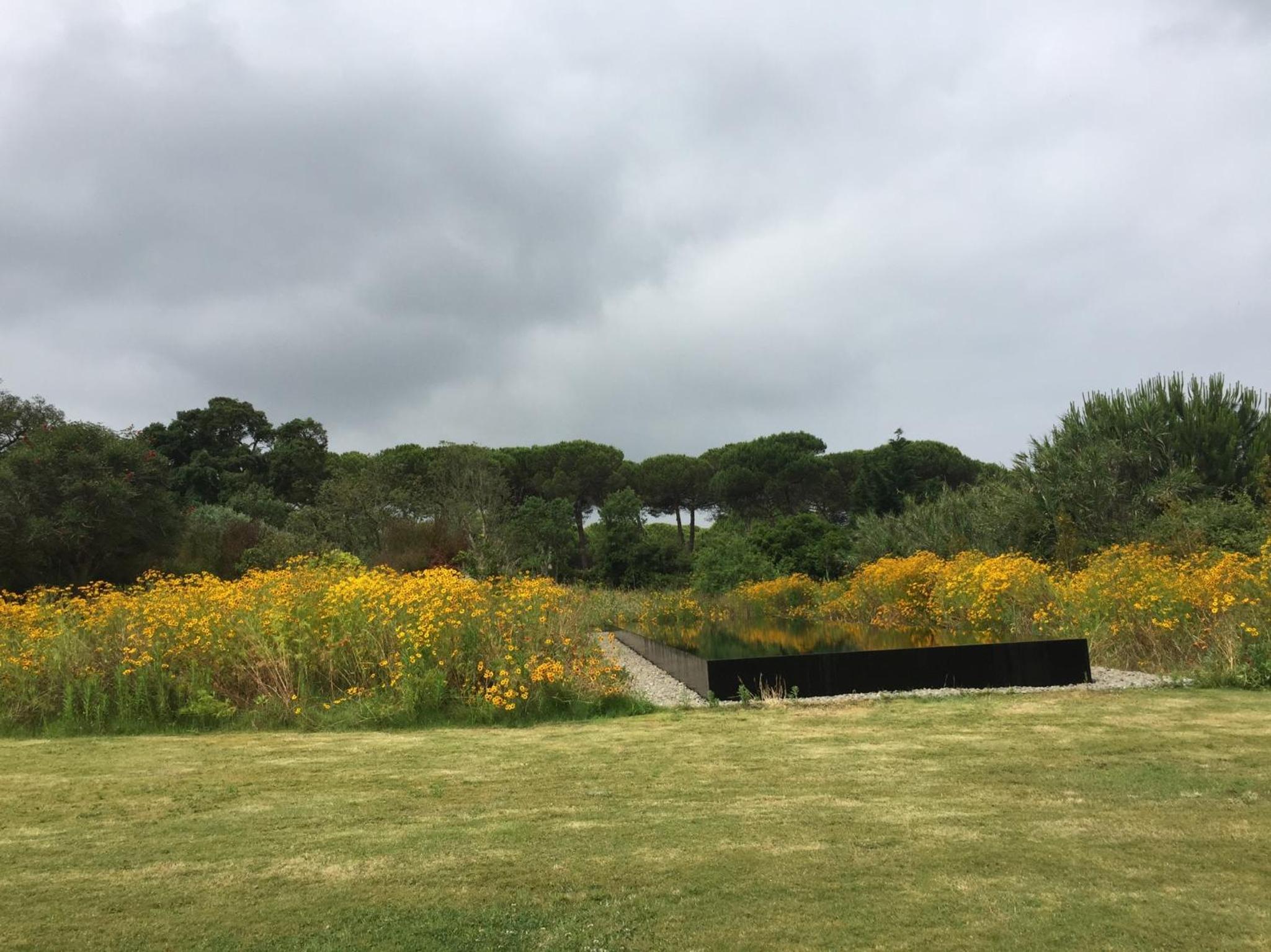 Quinta Do Miguel view 4