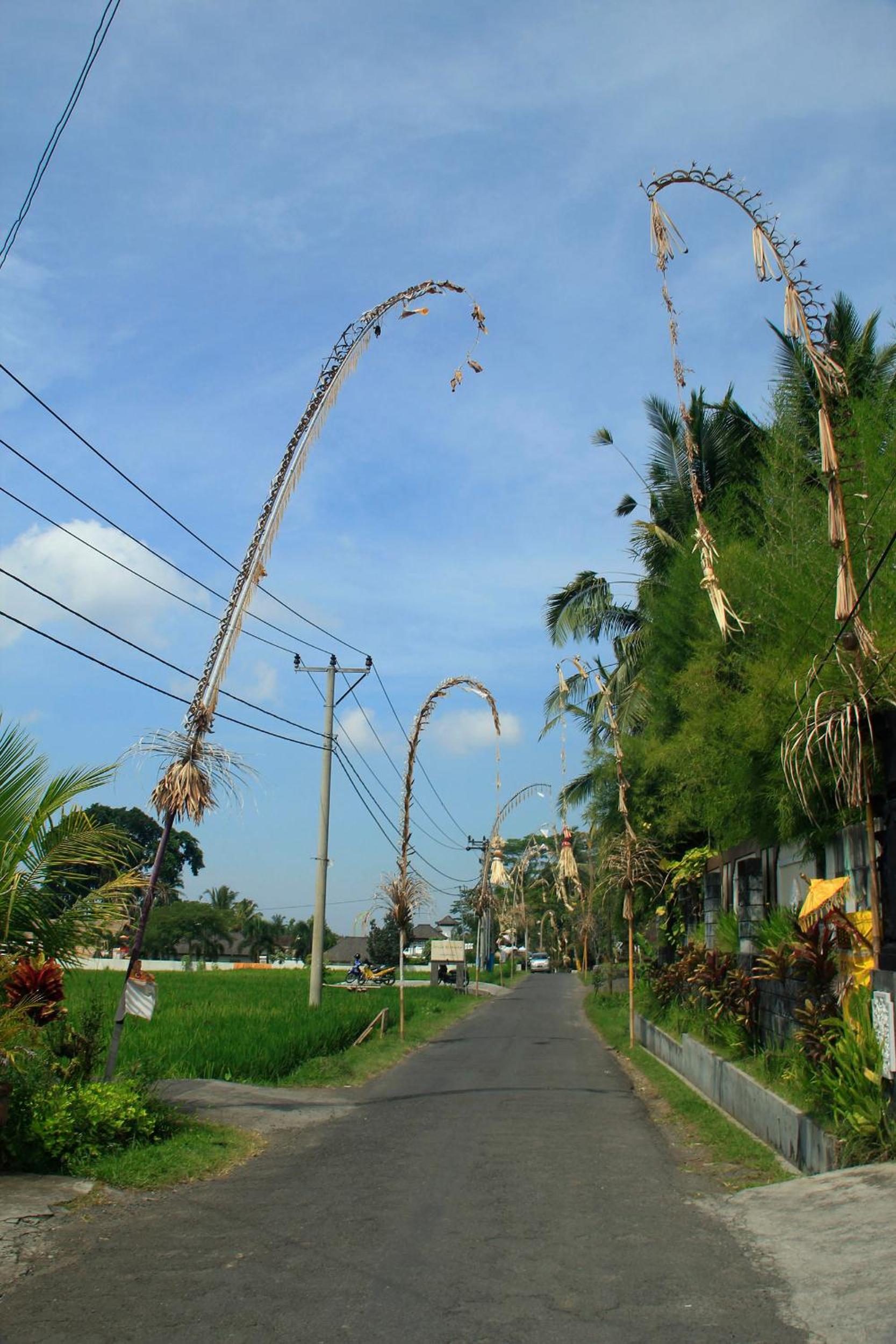 Junjungan Ubud Hotel and Spa