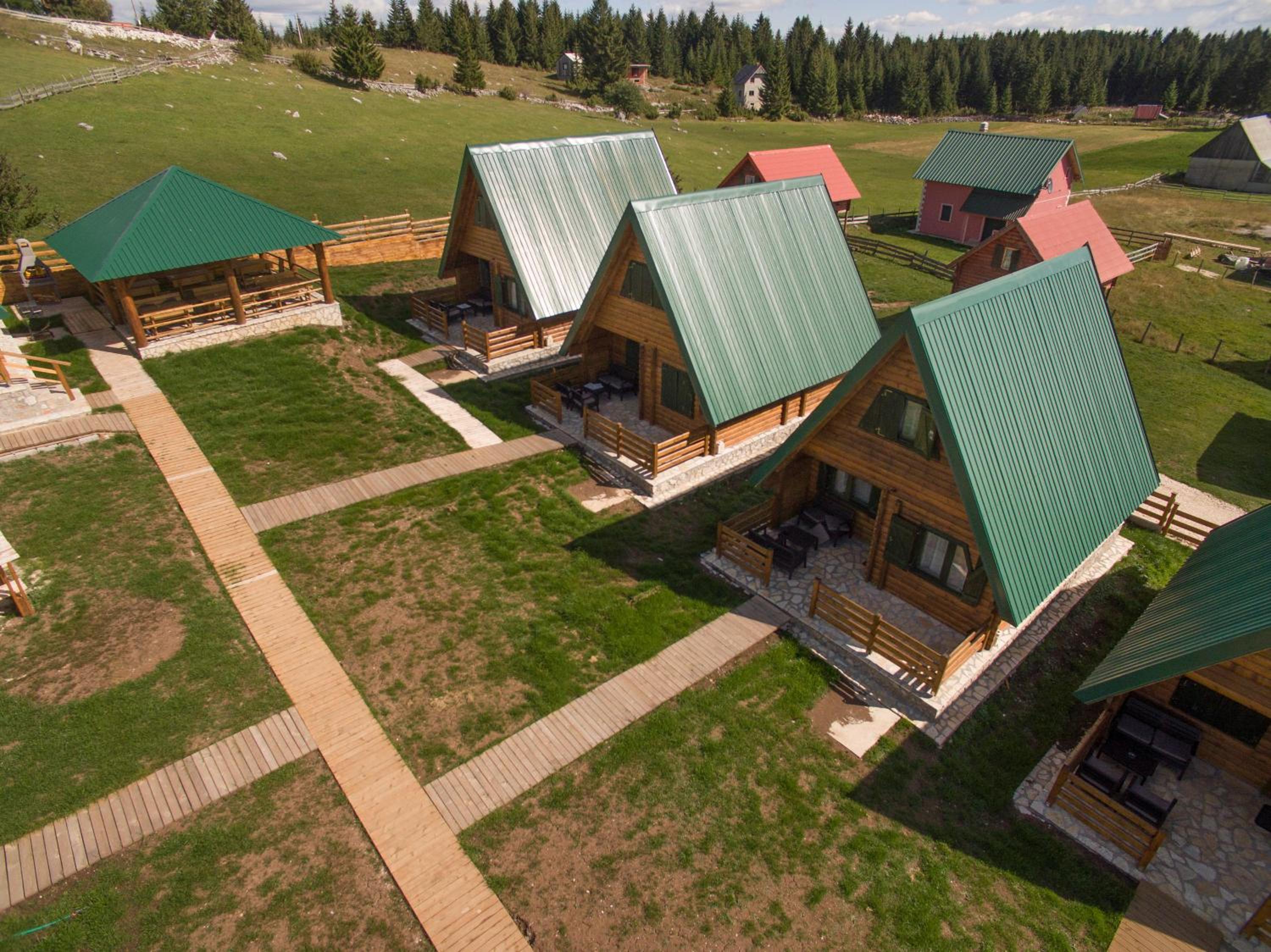 Woodland view 5