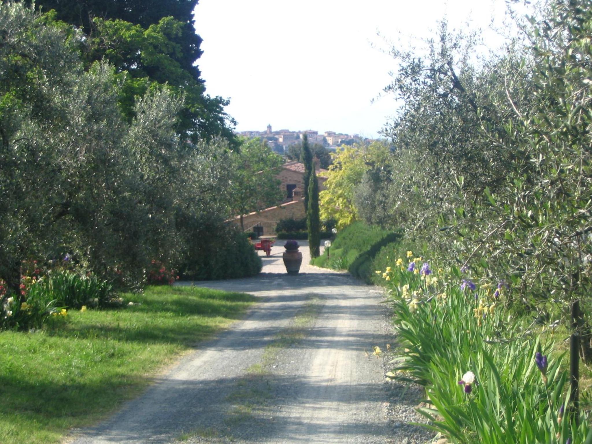 Podere La Casetta - Casa di Campagna