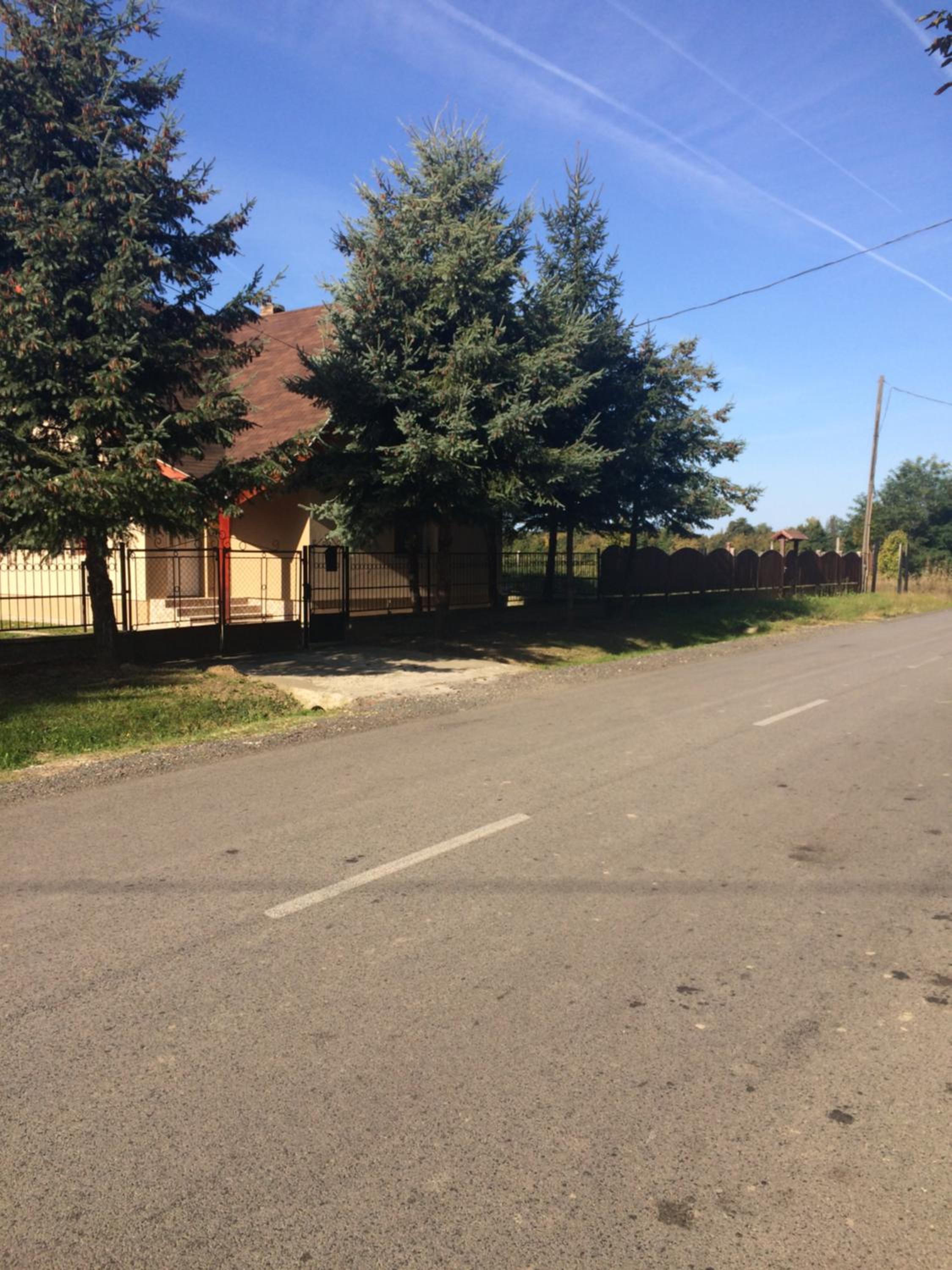 Photo 38