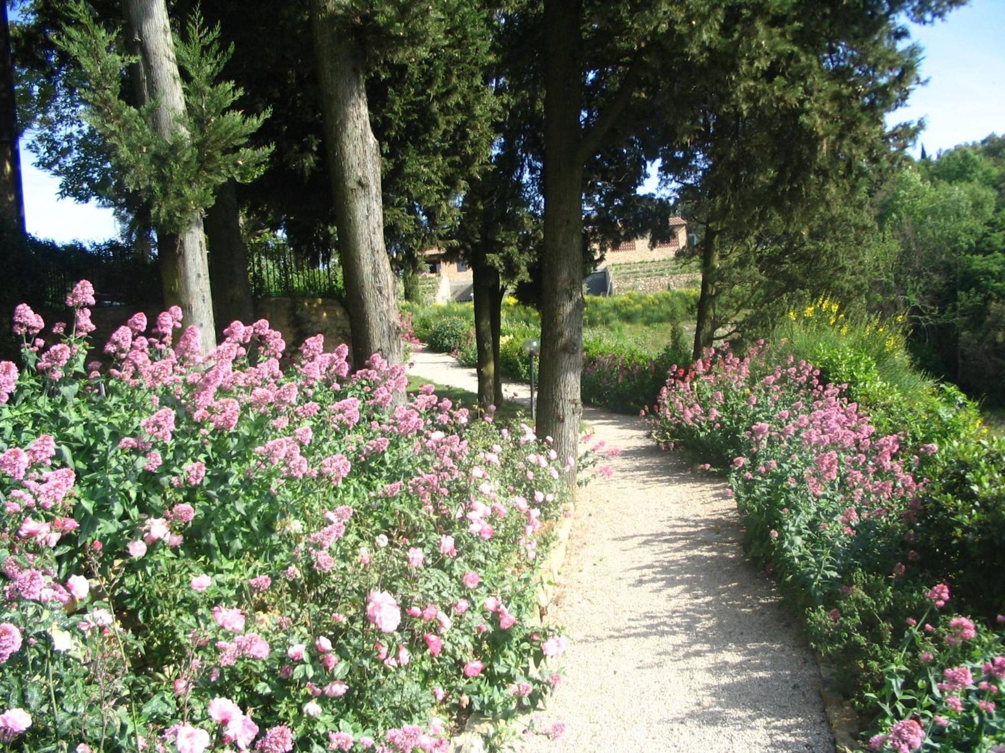 Podere La Casetta - Casa di Campagna