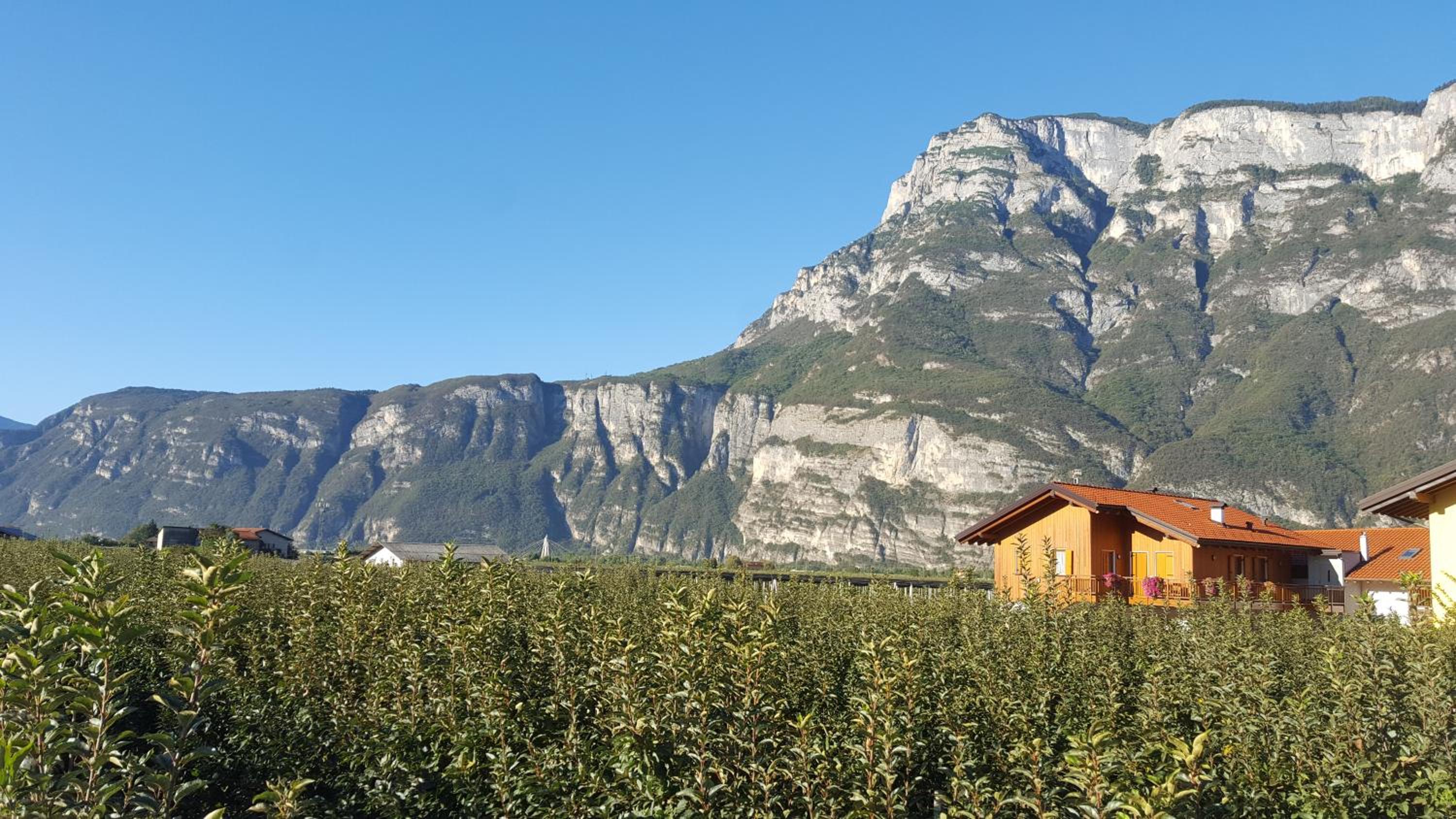Agritur Clementi