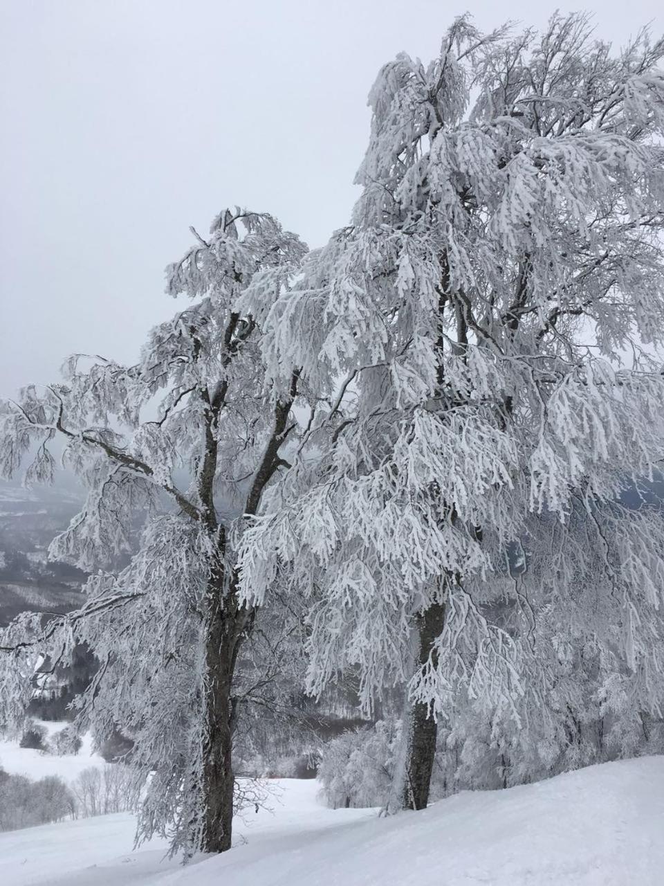 First Tracks Madarao