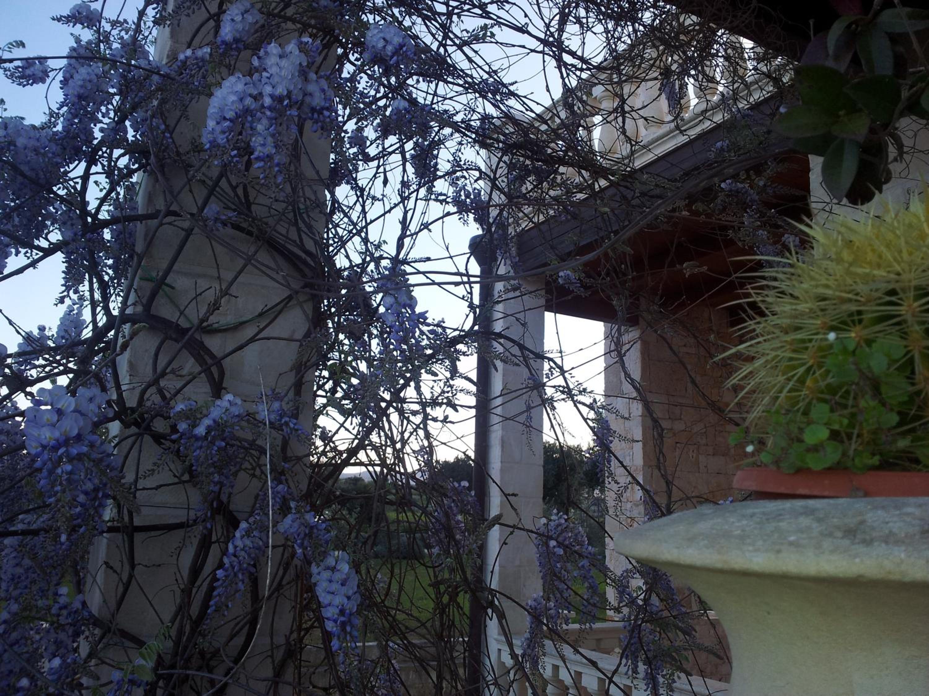 Villa Pugliese by maresolePUGLIA