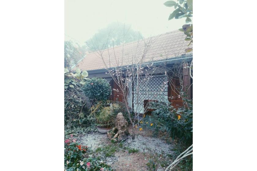 Photo 40