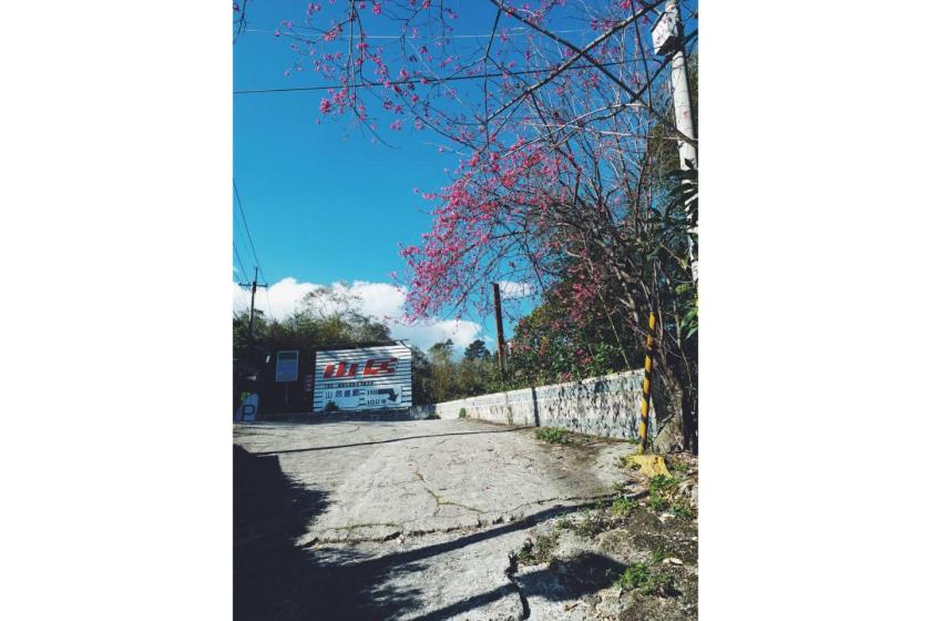 Photo 41