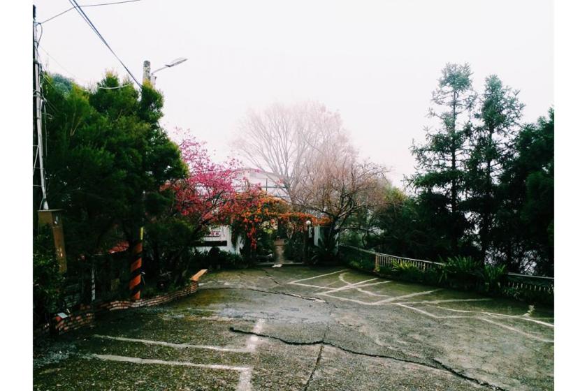 Photo 43