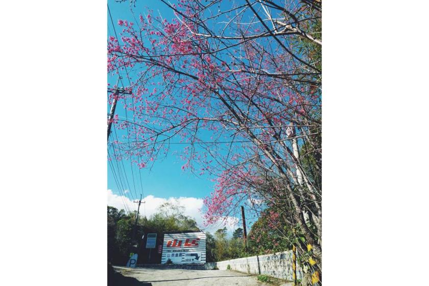 Photo 48