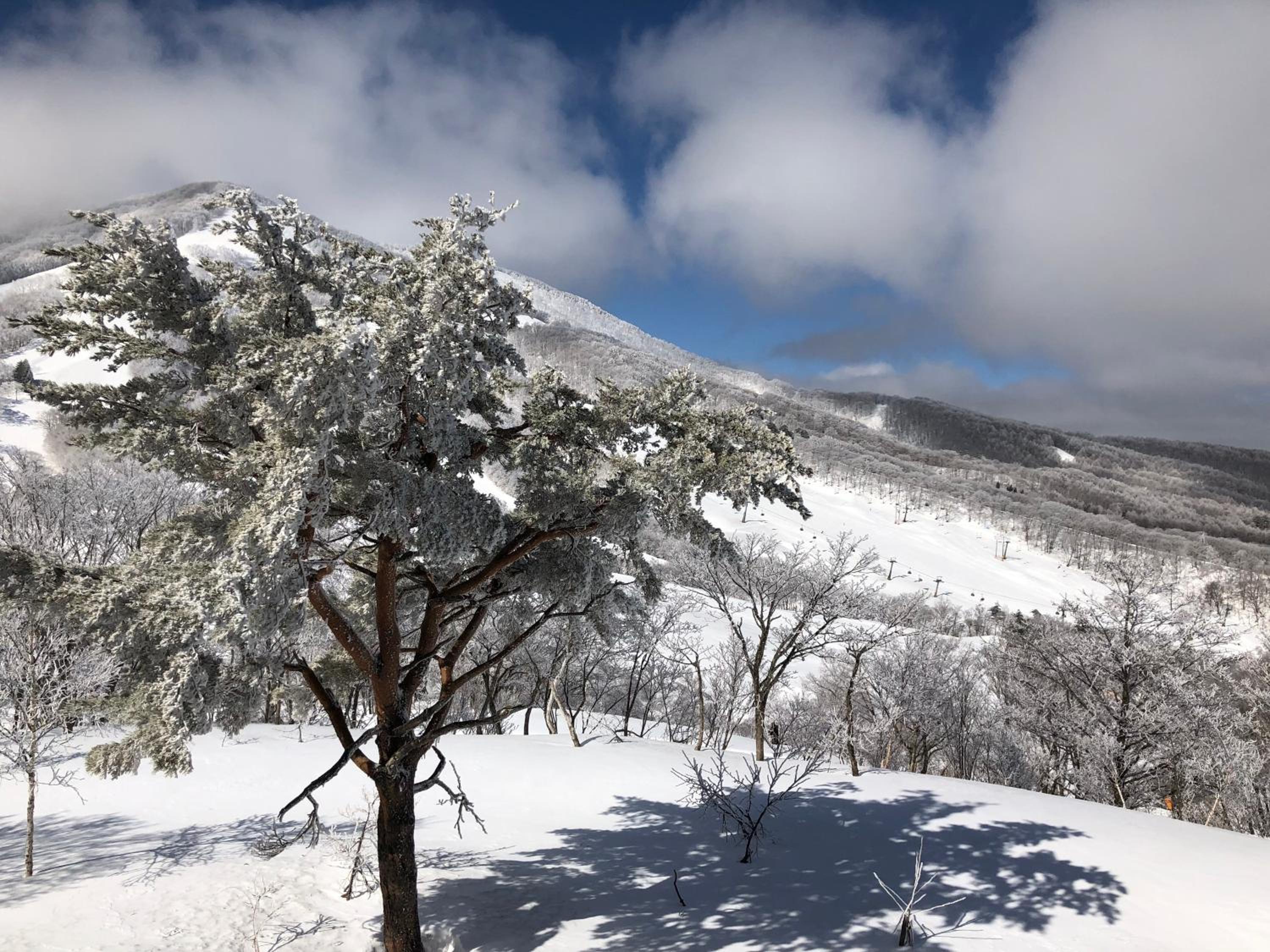 First Tracks Madarao