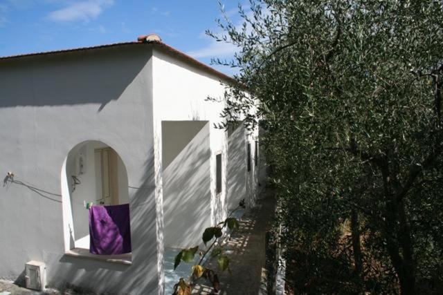 Casa Vacanze Pizzone view 3