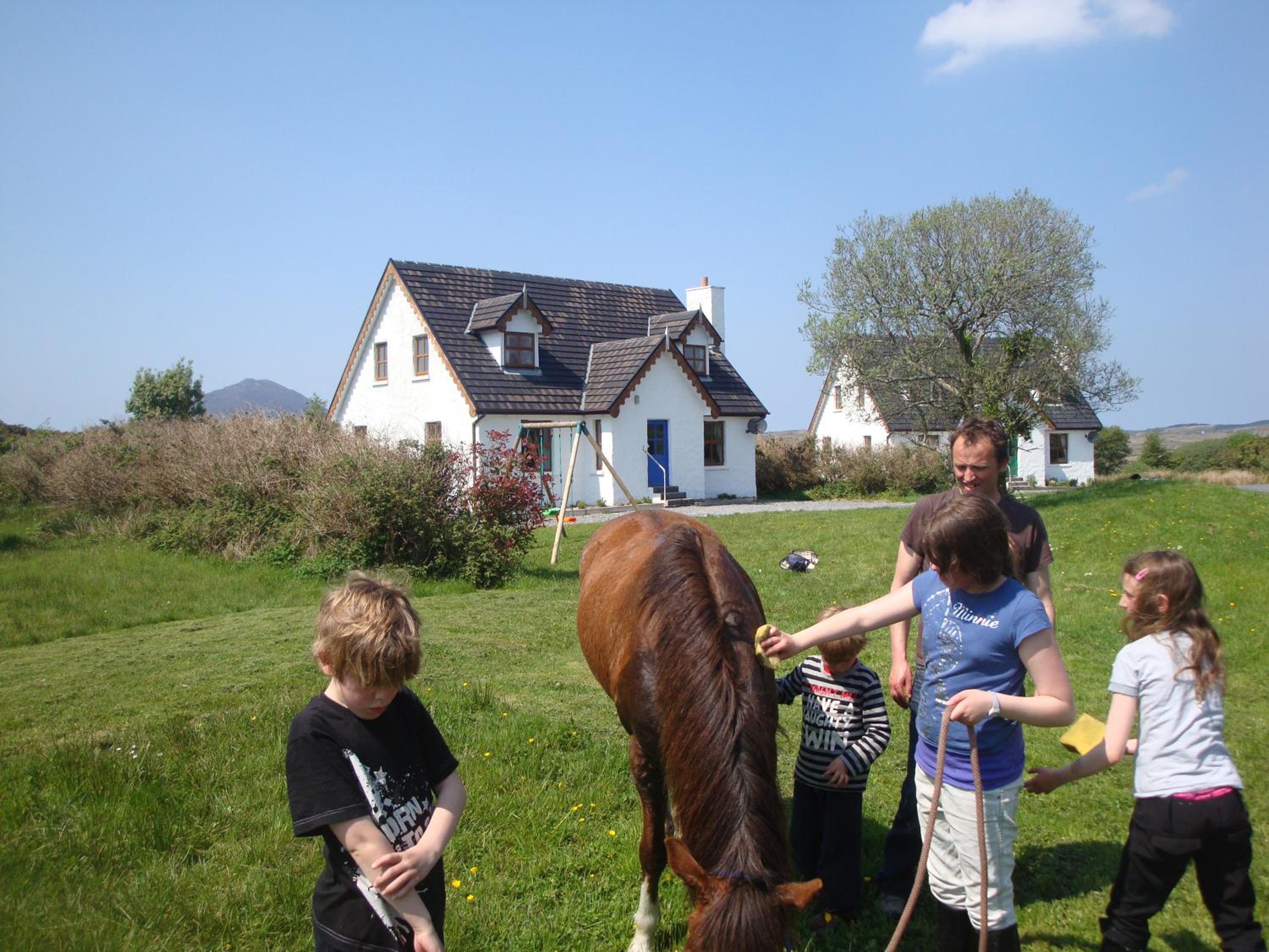 Photo 10