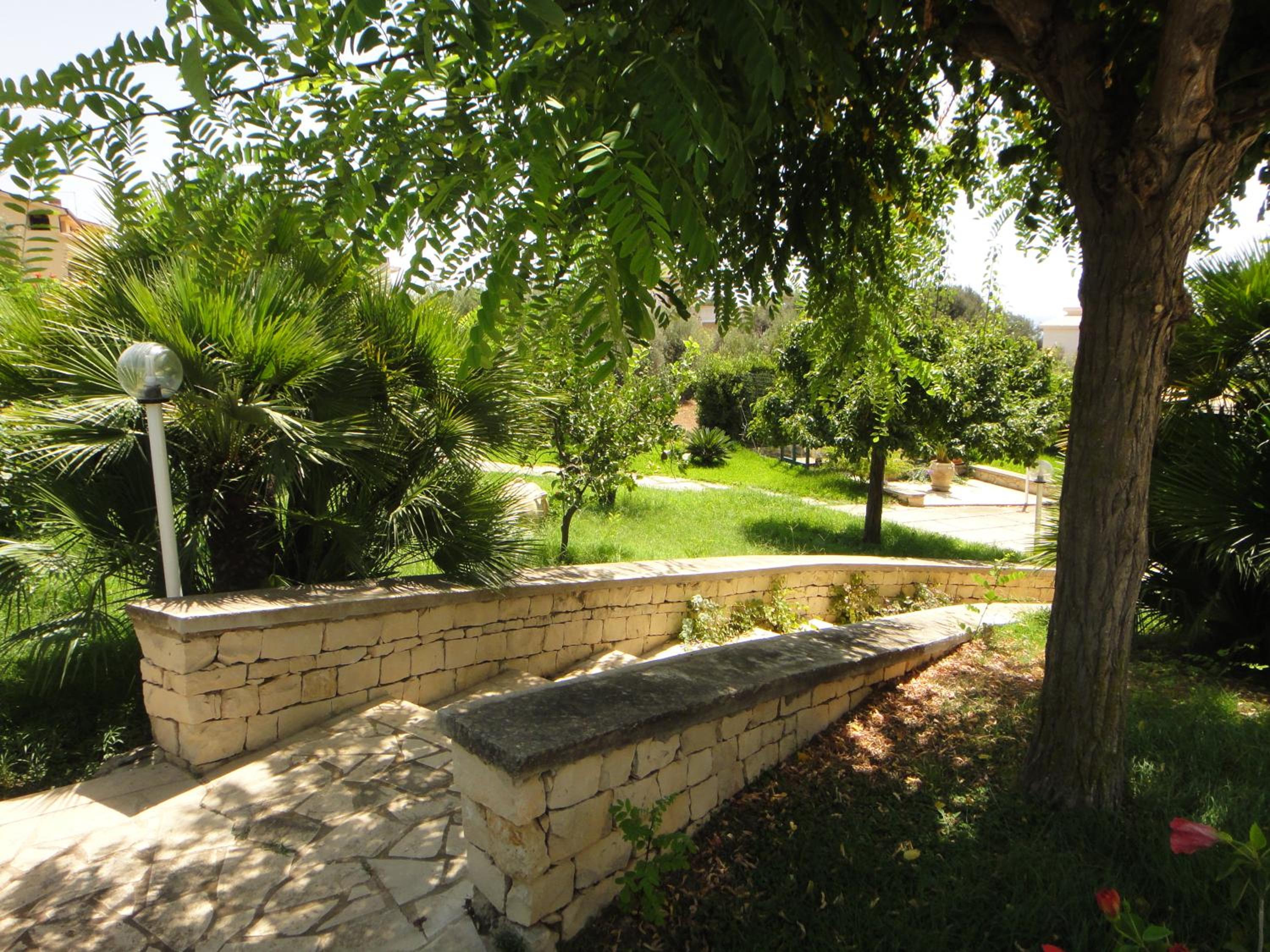 Photo 37