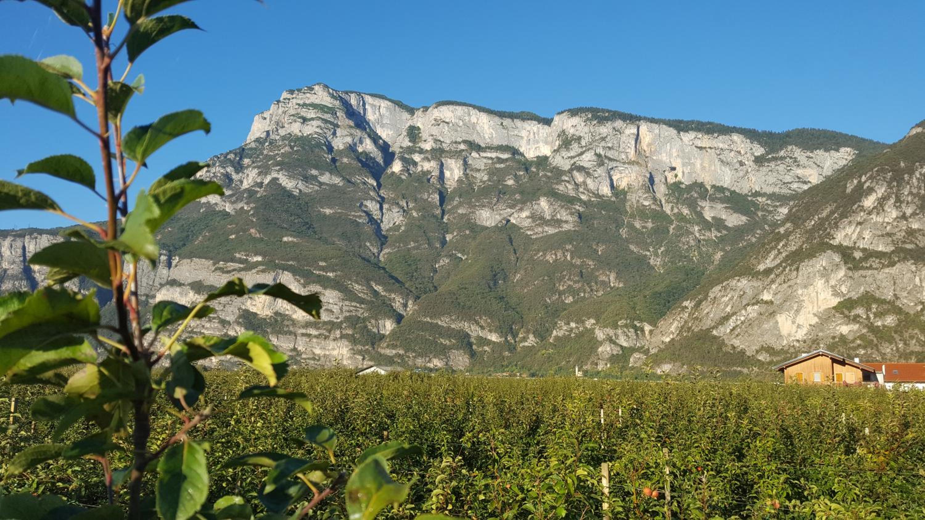 Agritur Clementi
