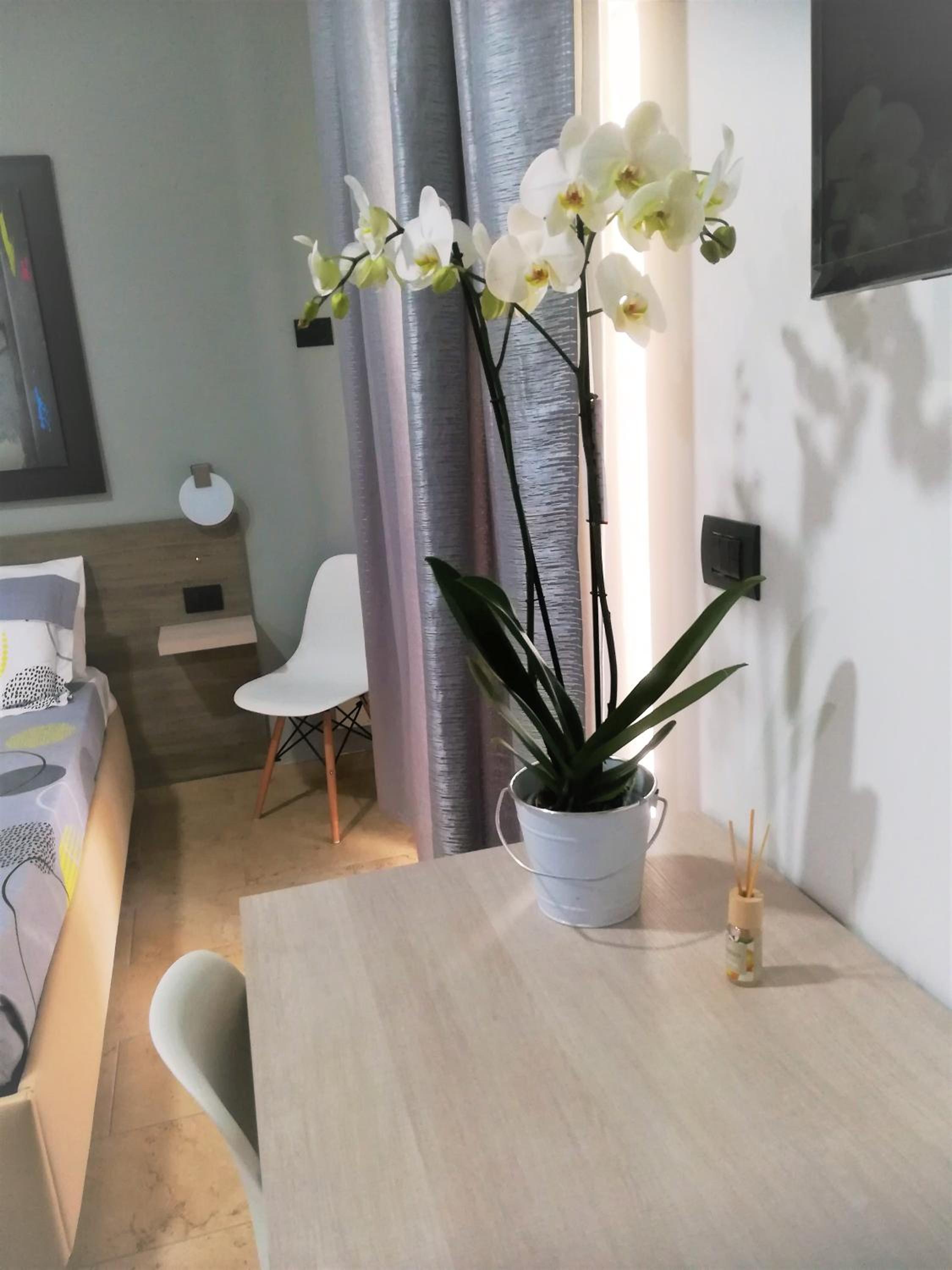 Sylva Mala Home