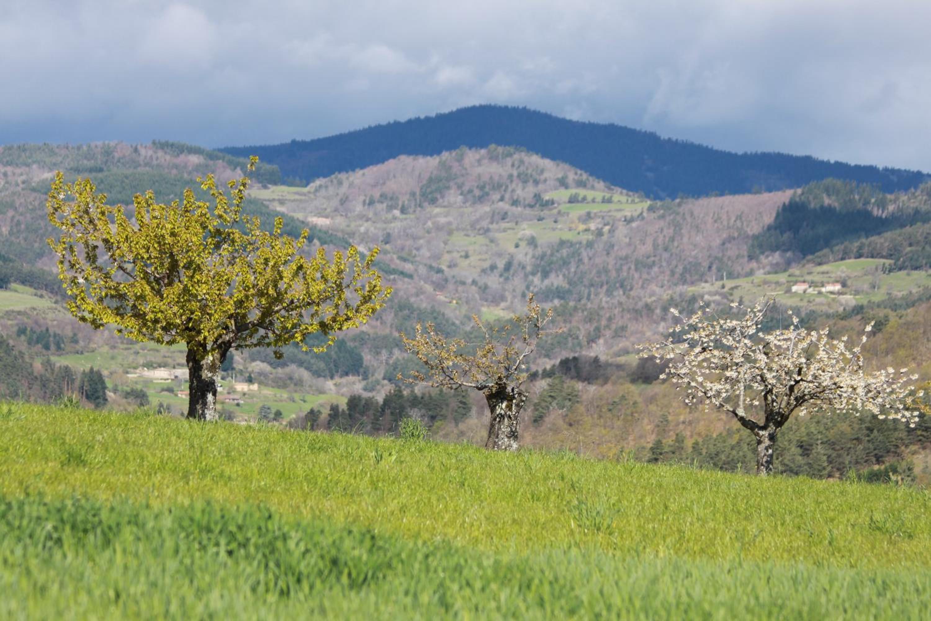La Bastide de Fontaille