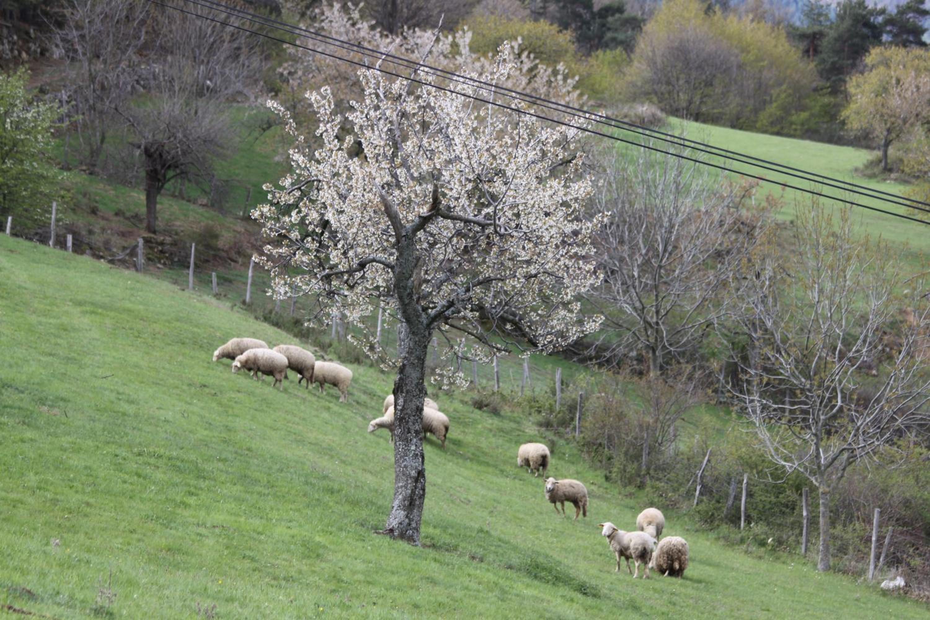 La Bastide de Fontaille