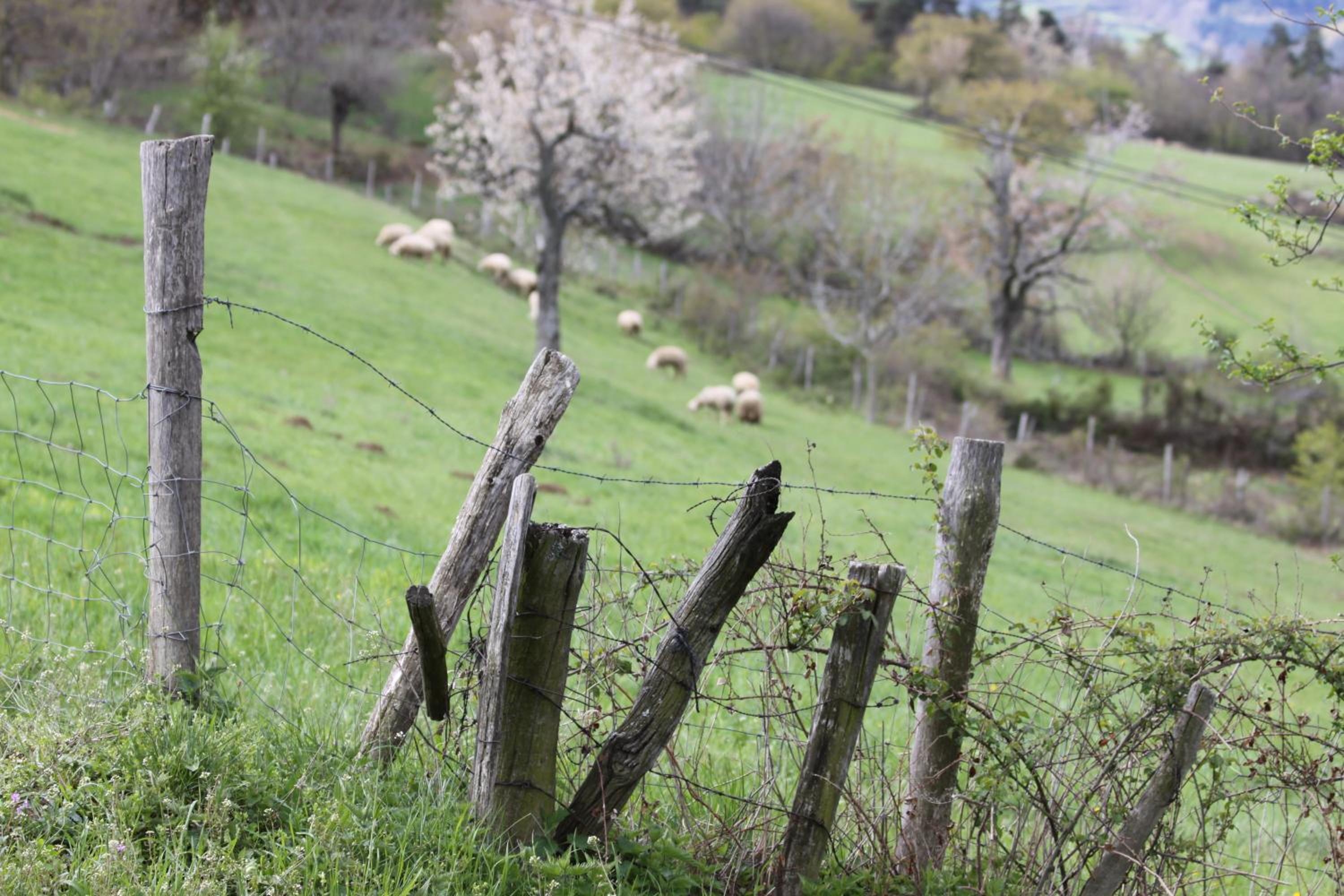 La Bastide de Fontaille