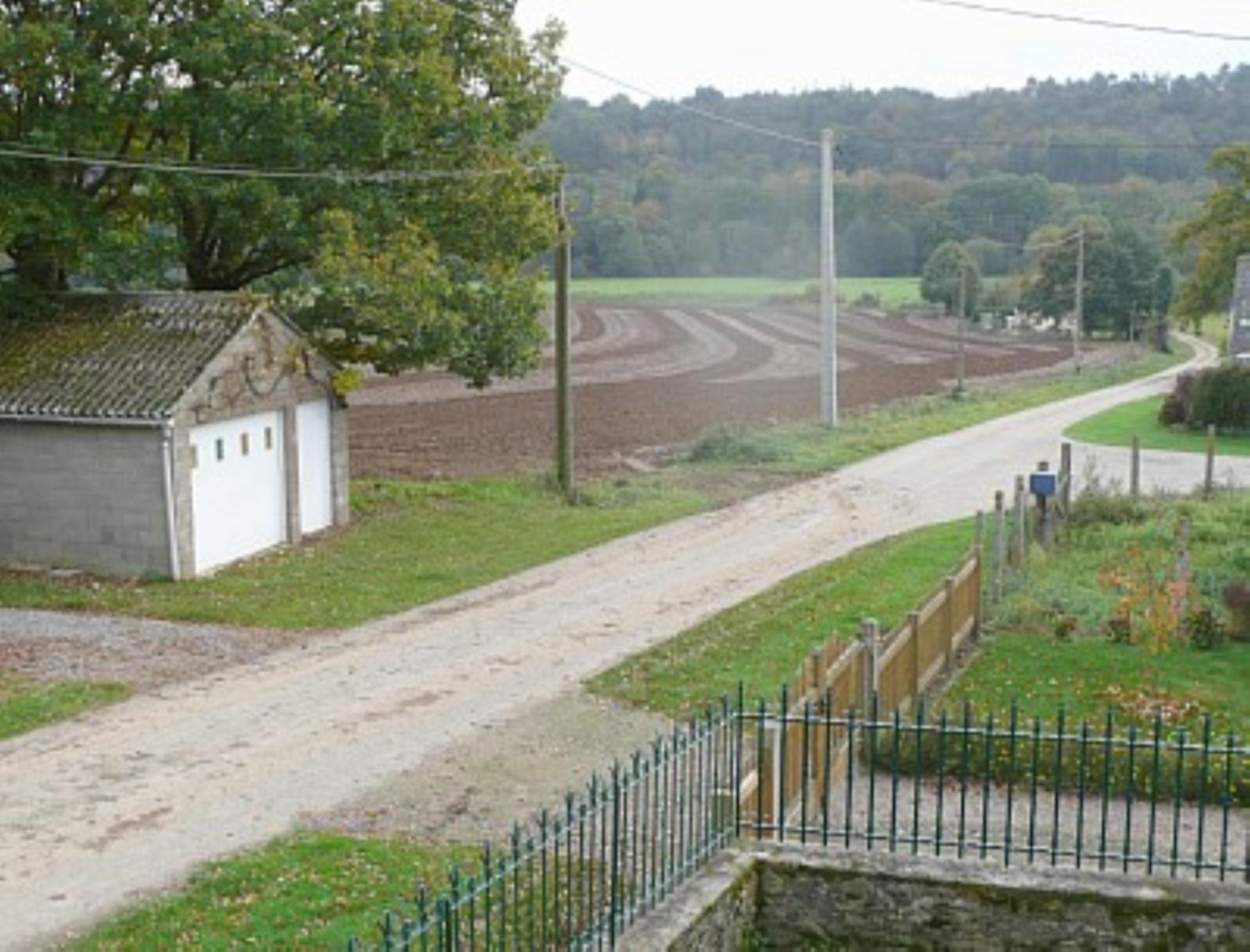 Photo 12