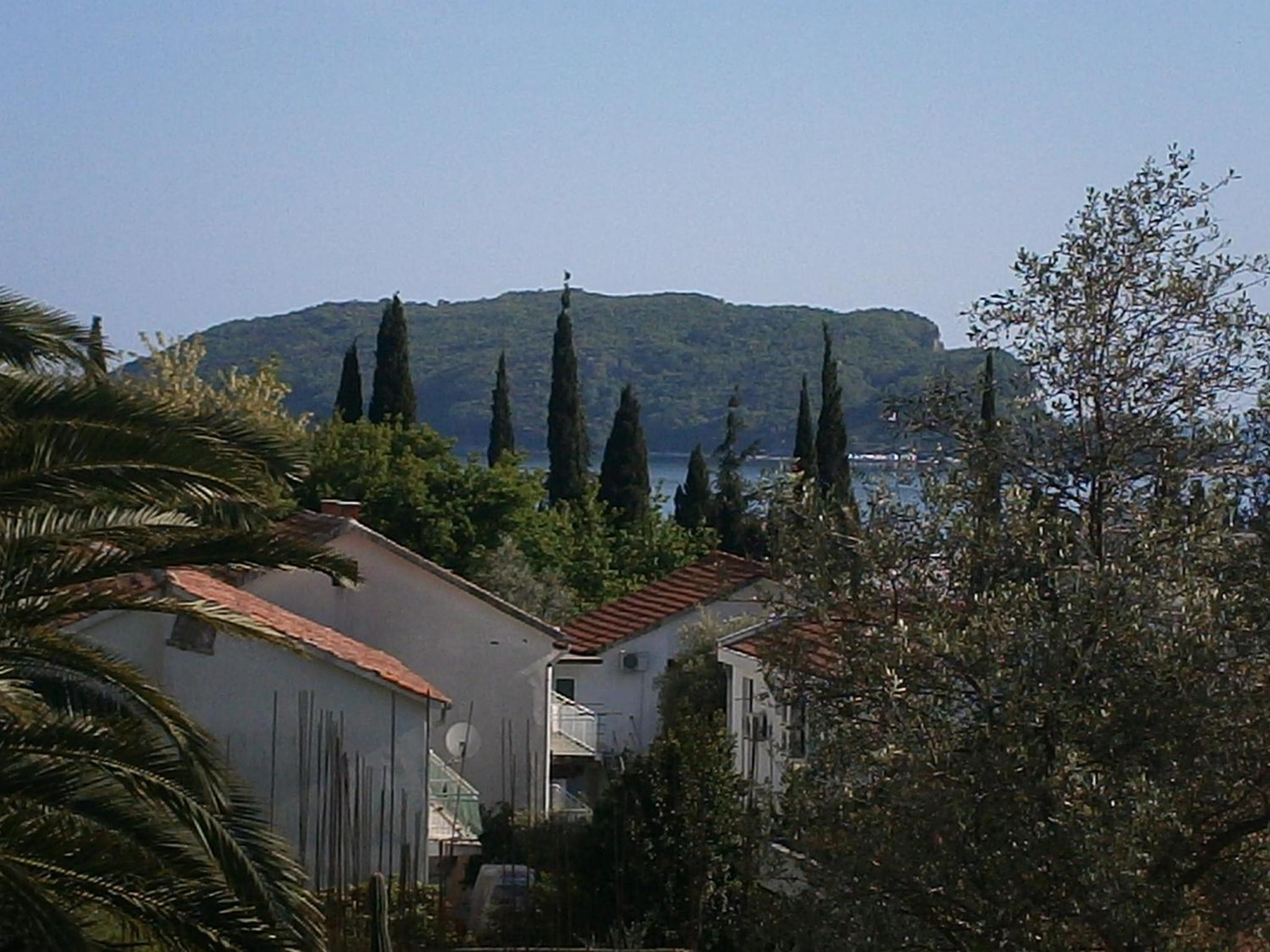 Photo 49