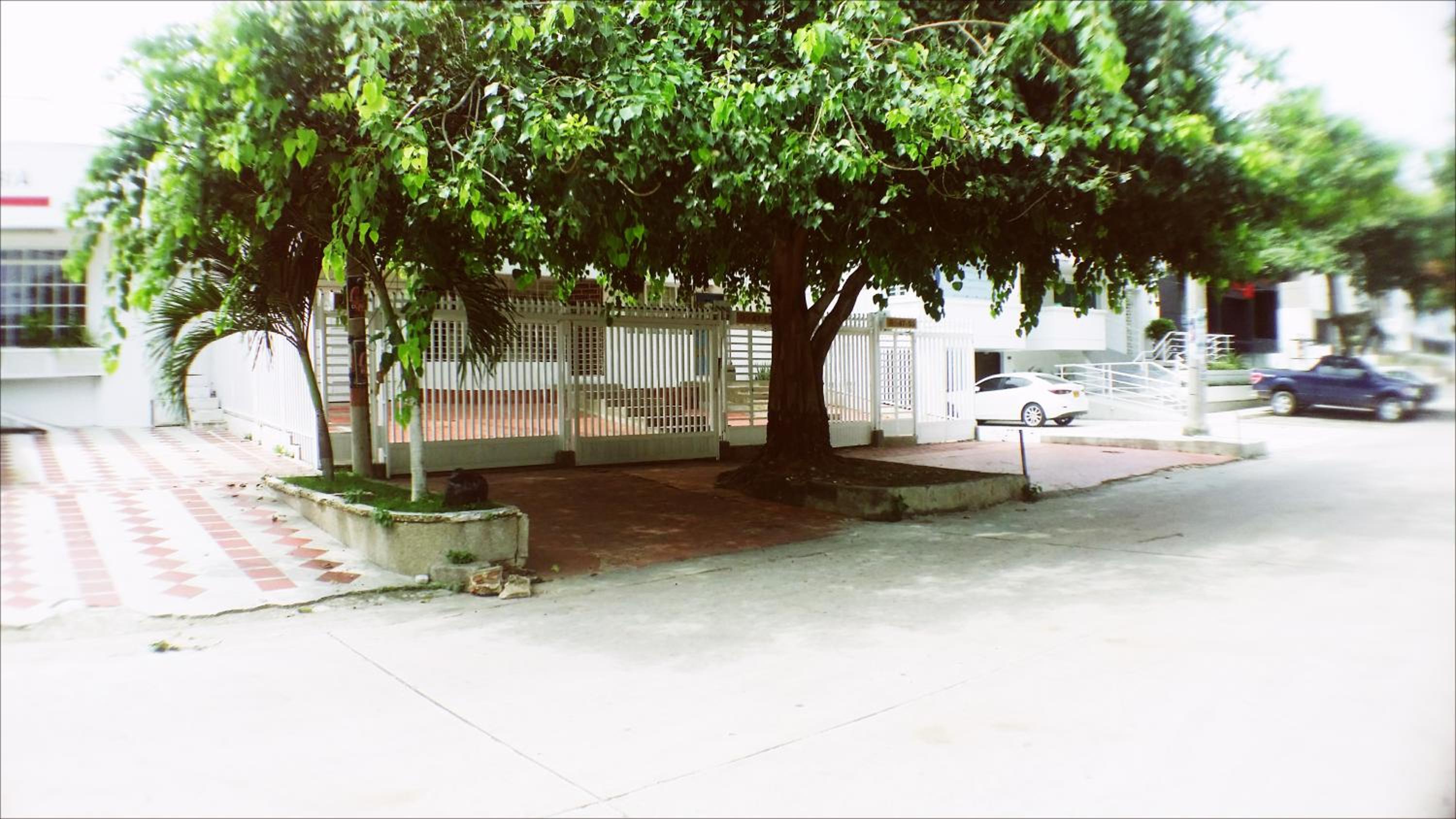 QuillaHost Tropical Apartment