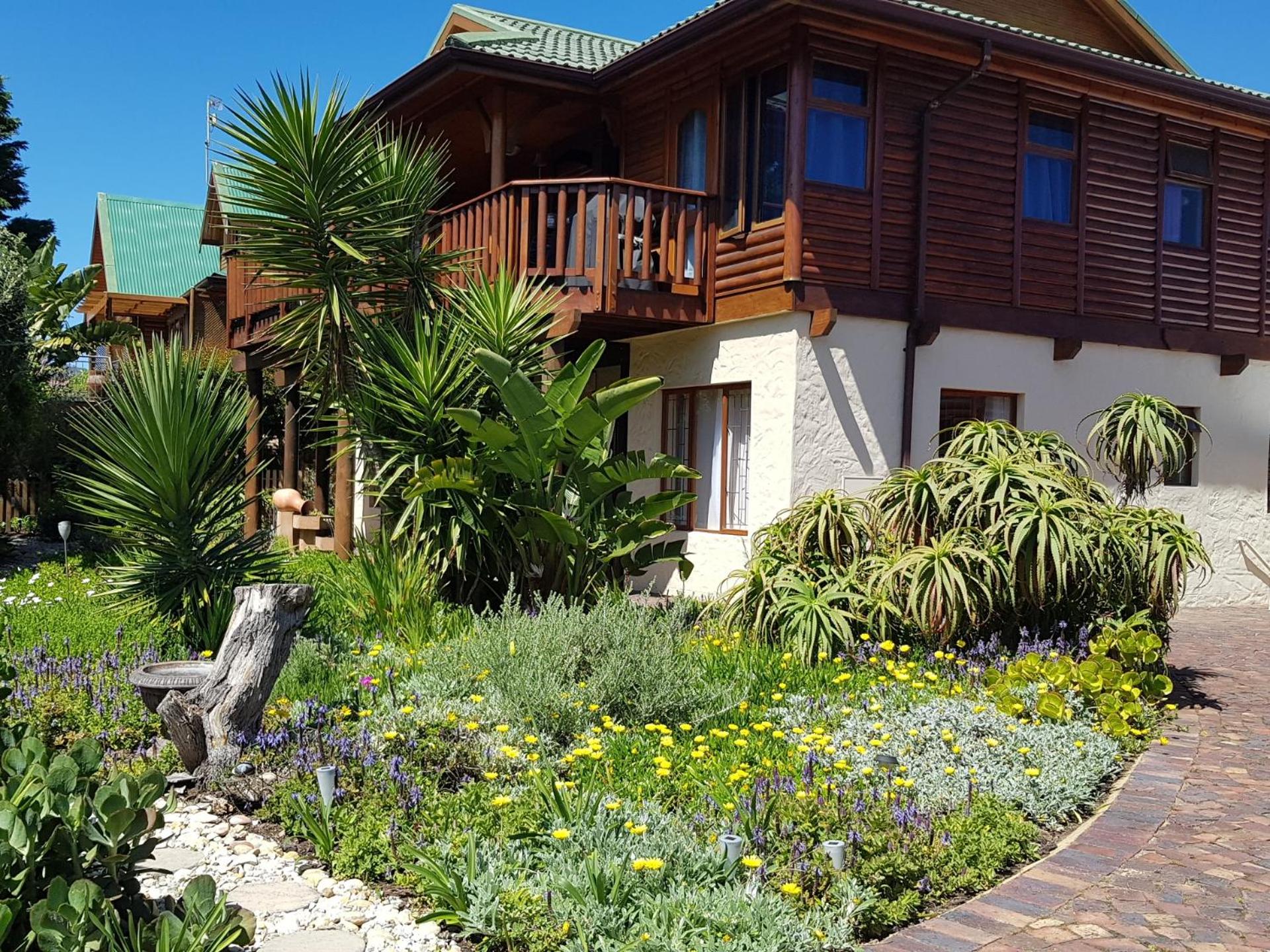 Brenton Bushbuck Lookout