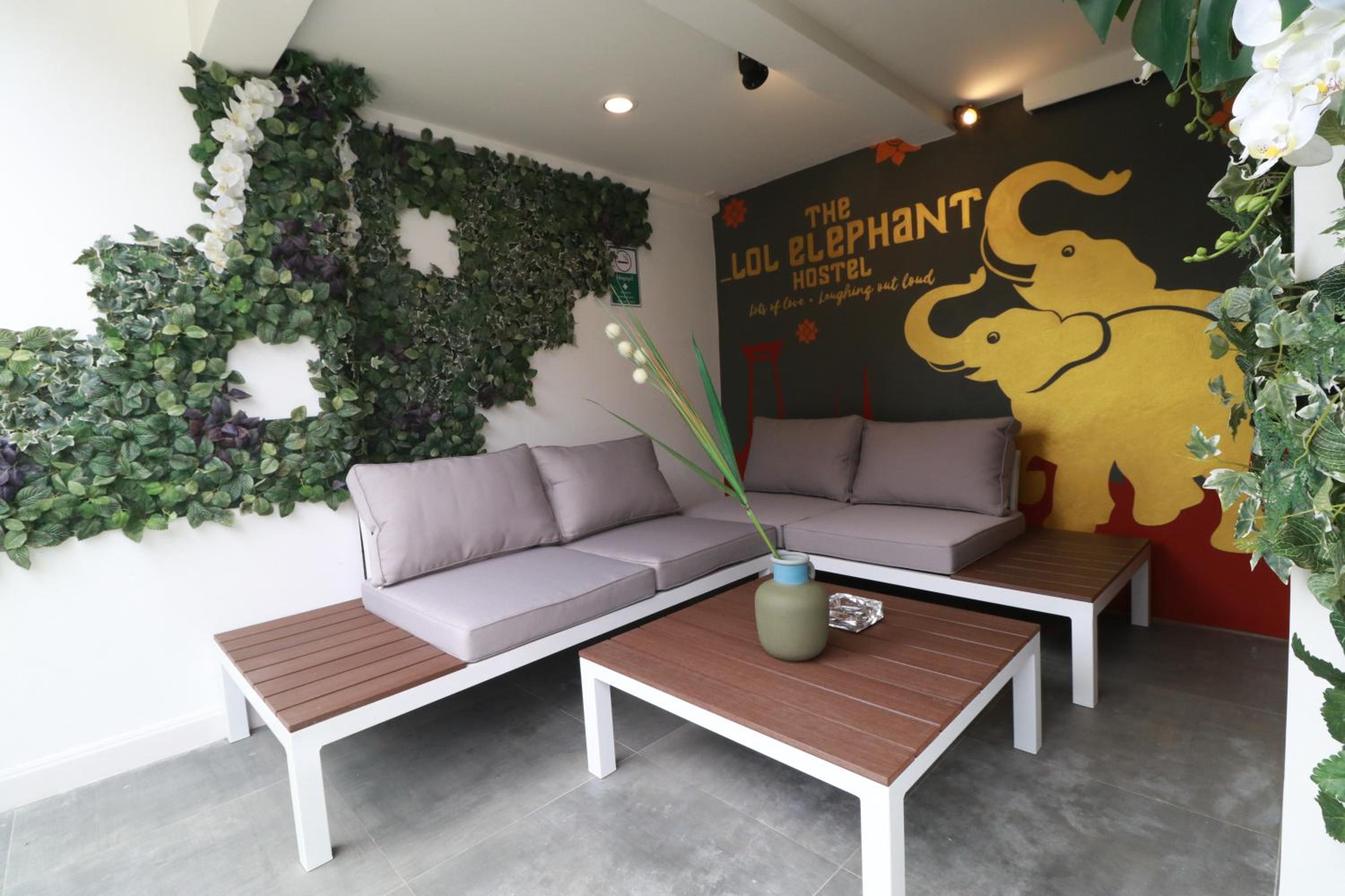 The LOL Elephant Hostel