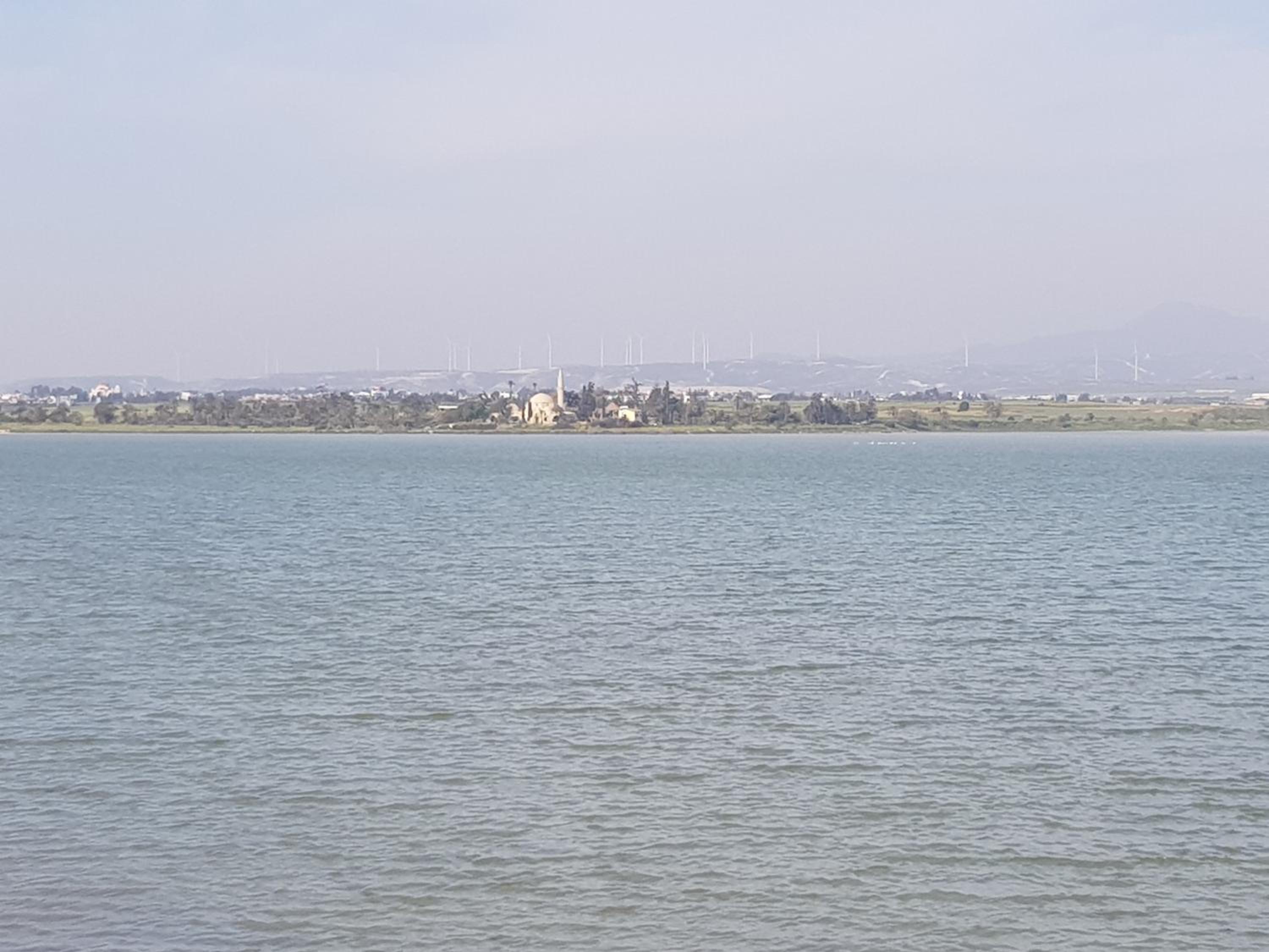 Photo 47