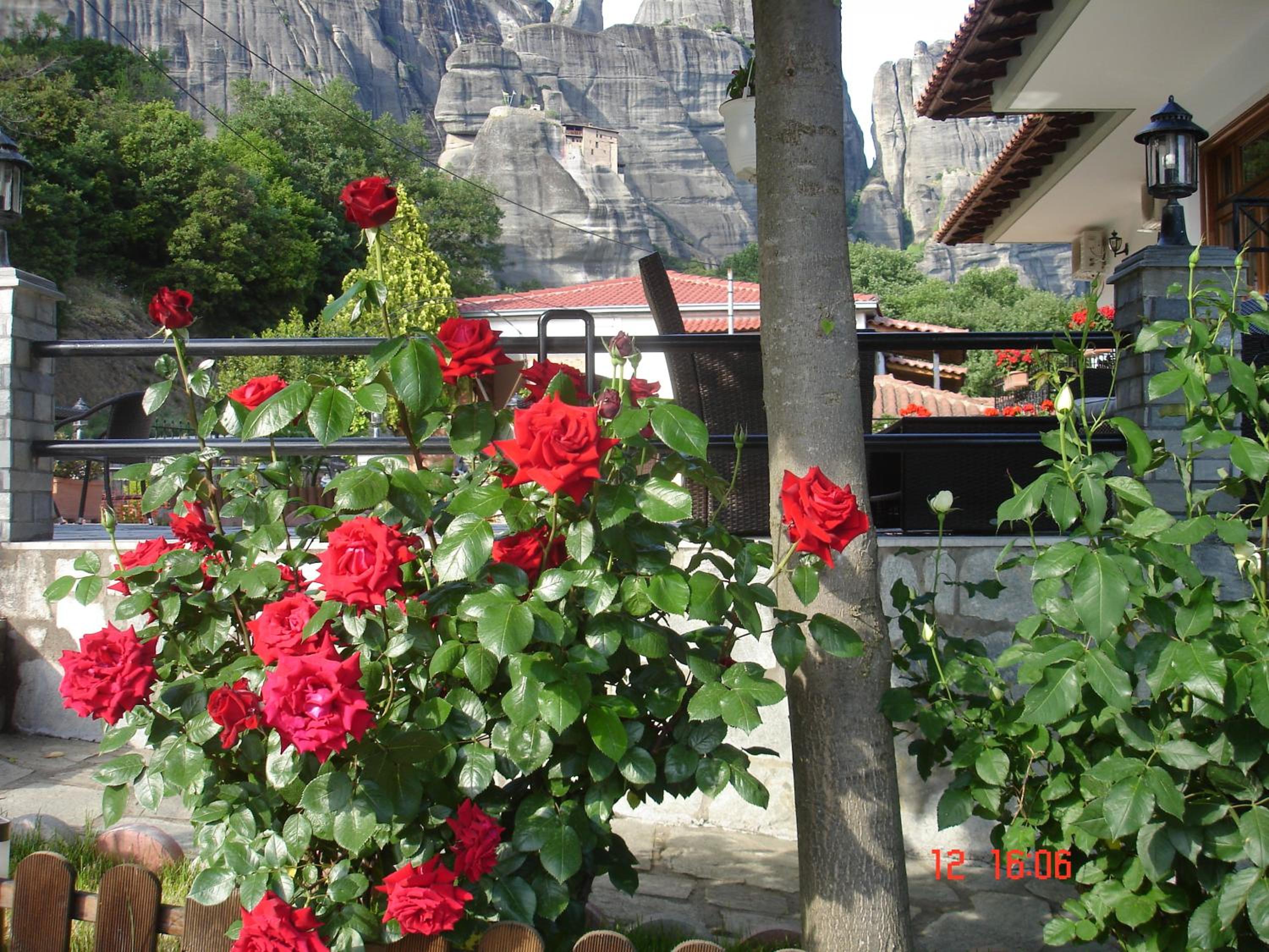 Photo 45