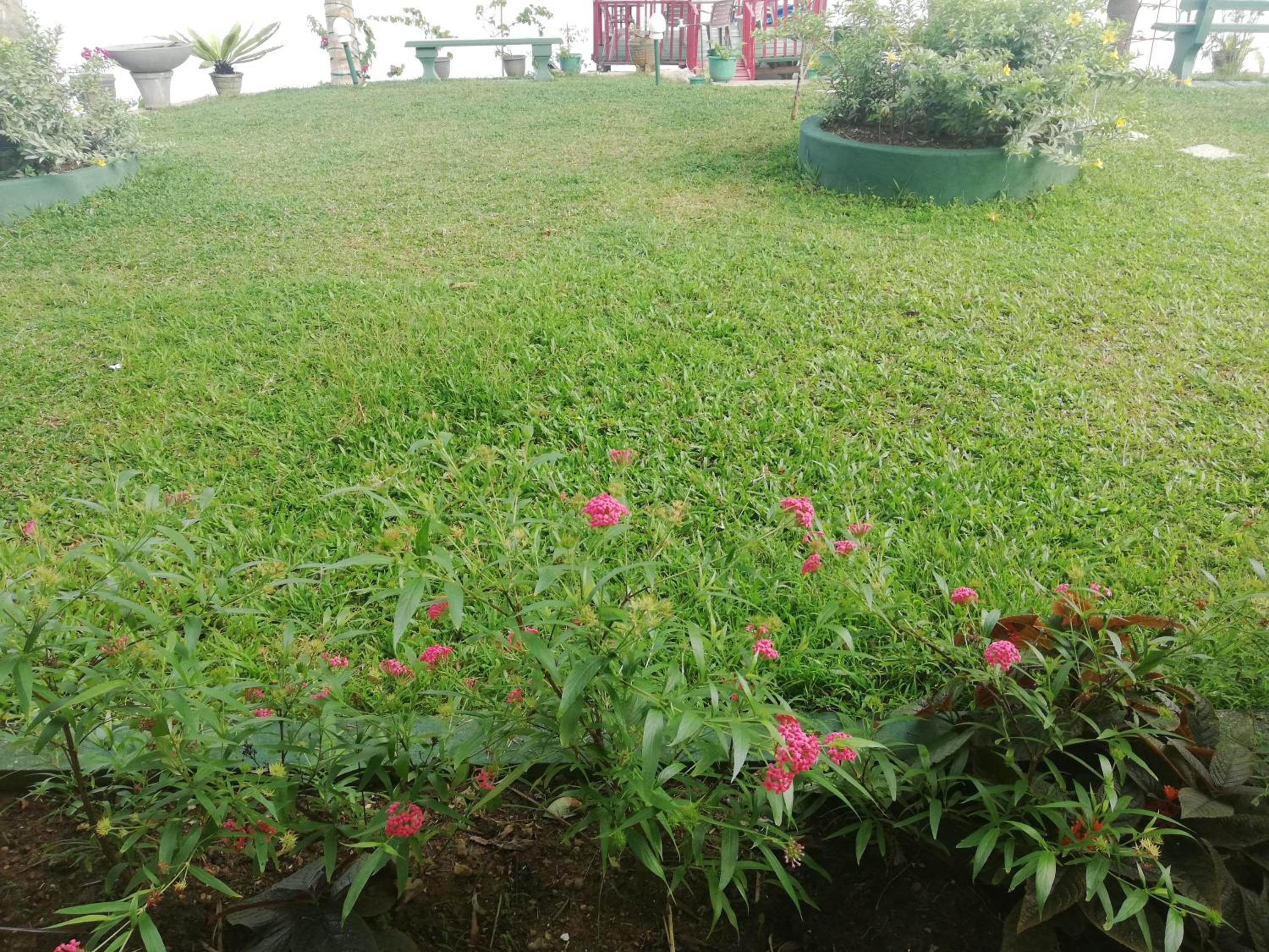 Mahi Villa