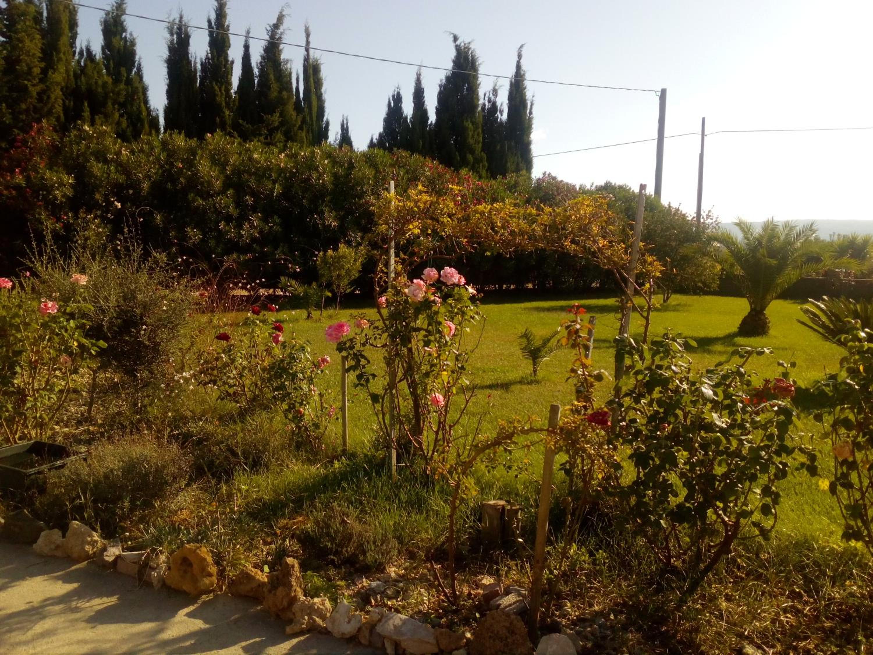 Photo 29