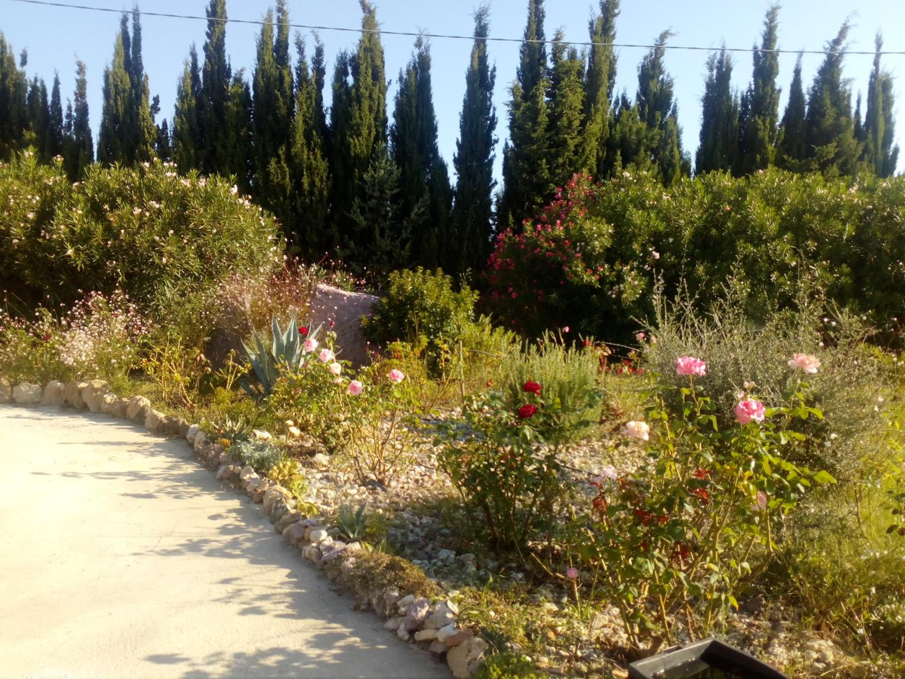 Photo 35