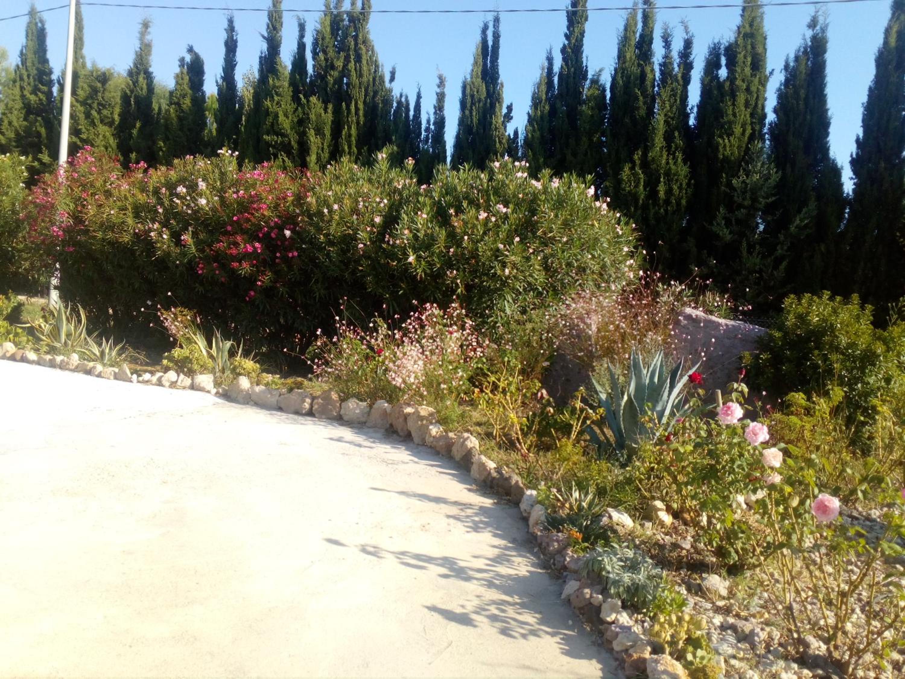 Photo 31