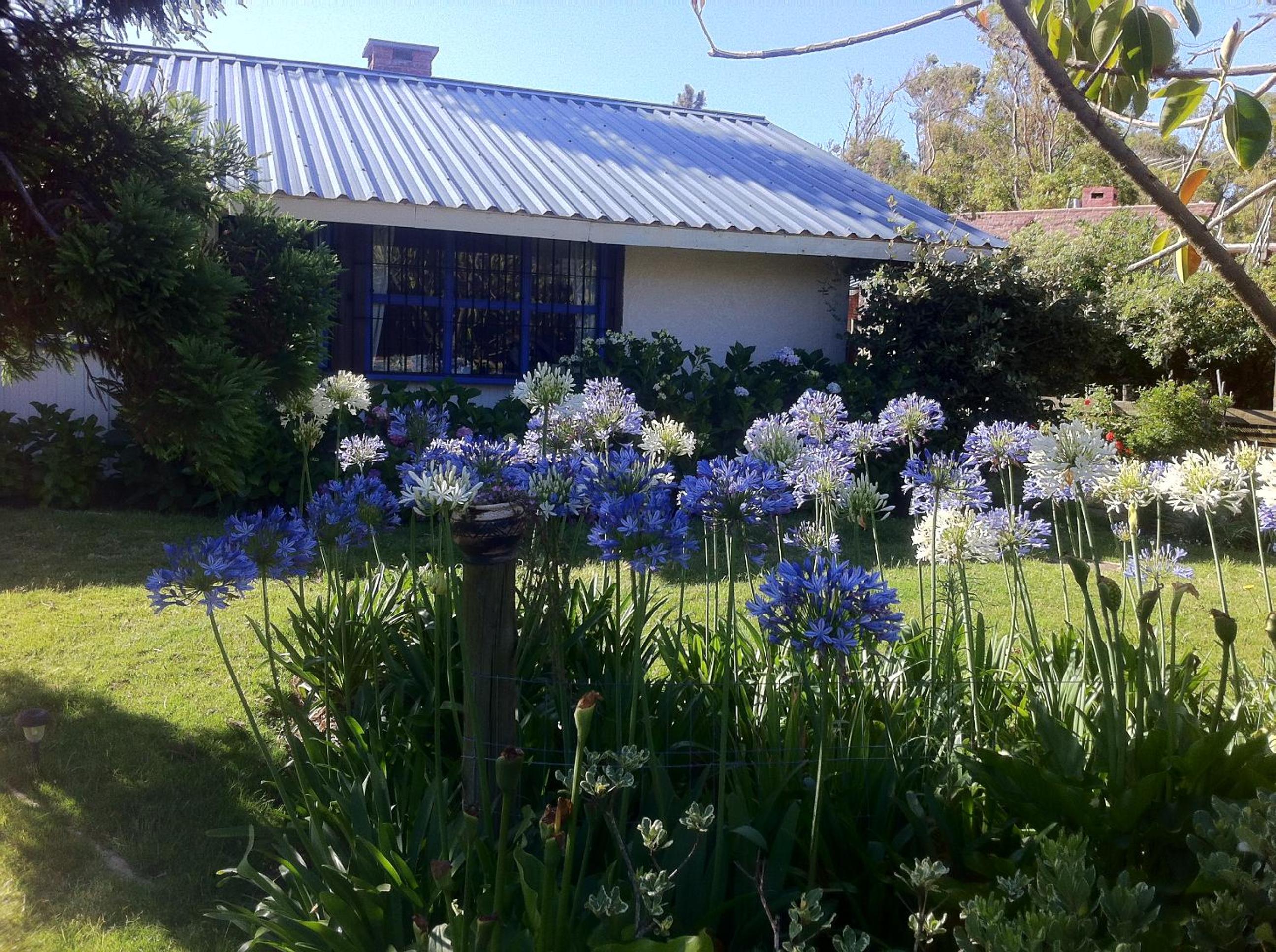 La Butia “cottage” view 2