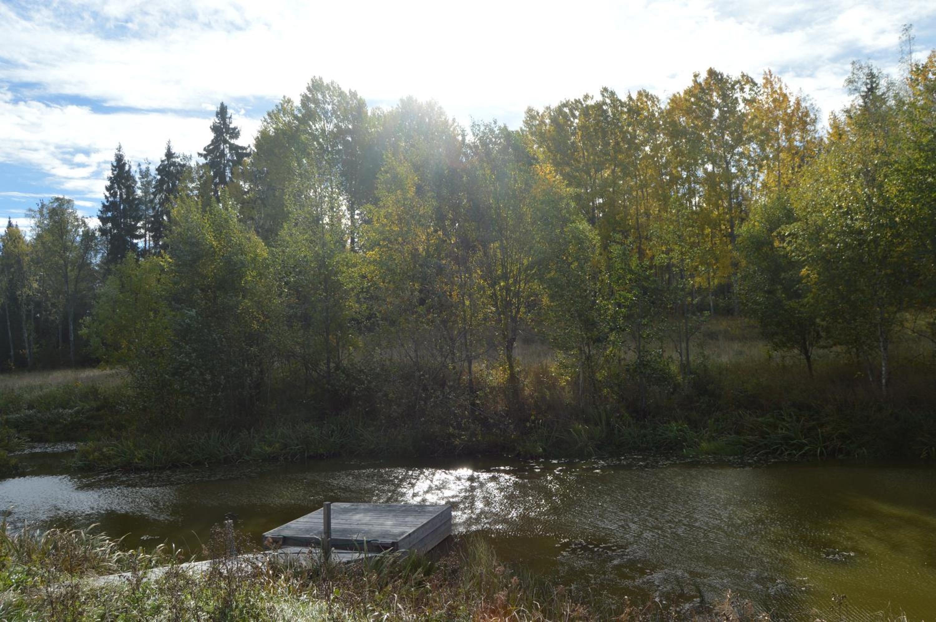 Ekengård - Image 5