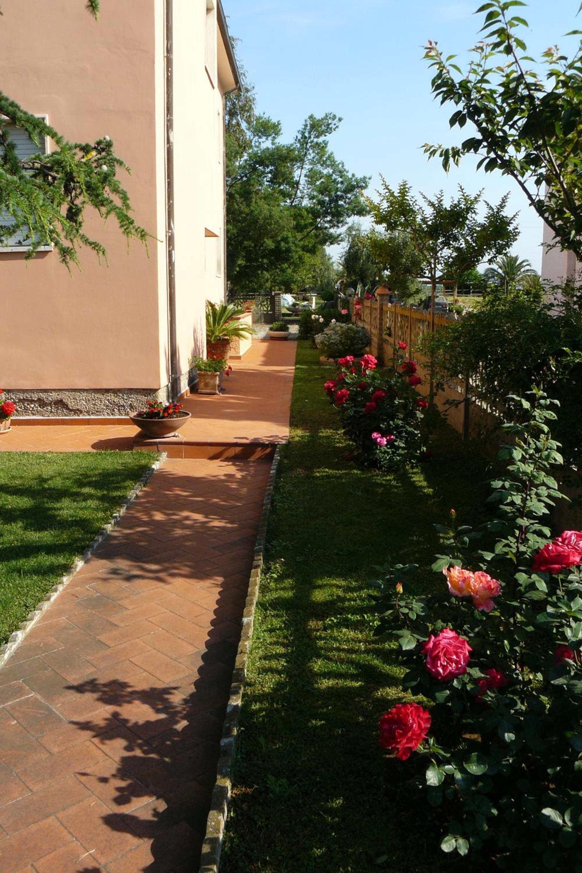 La Mimosa