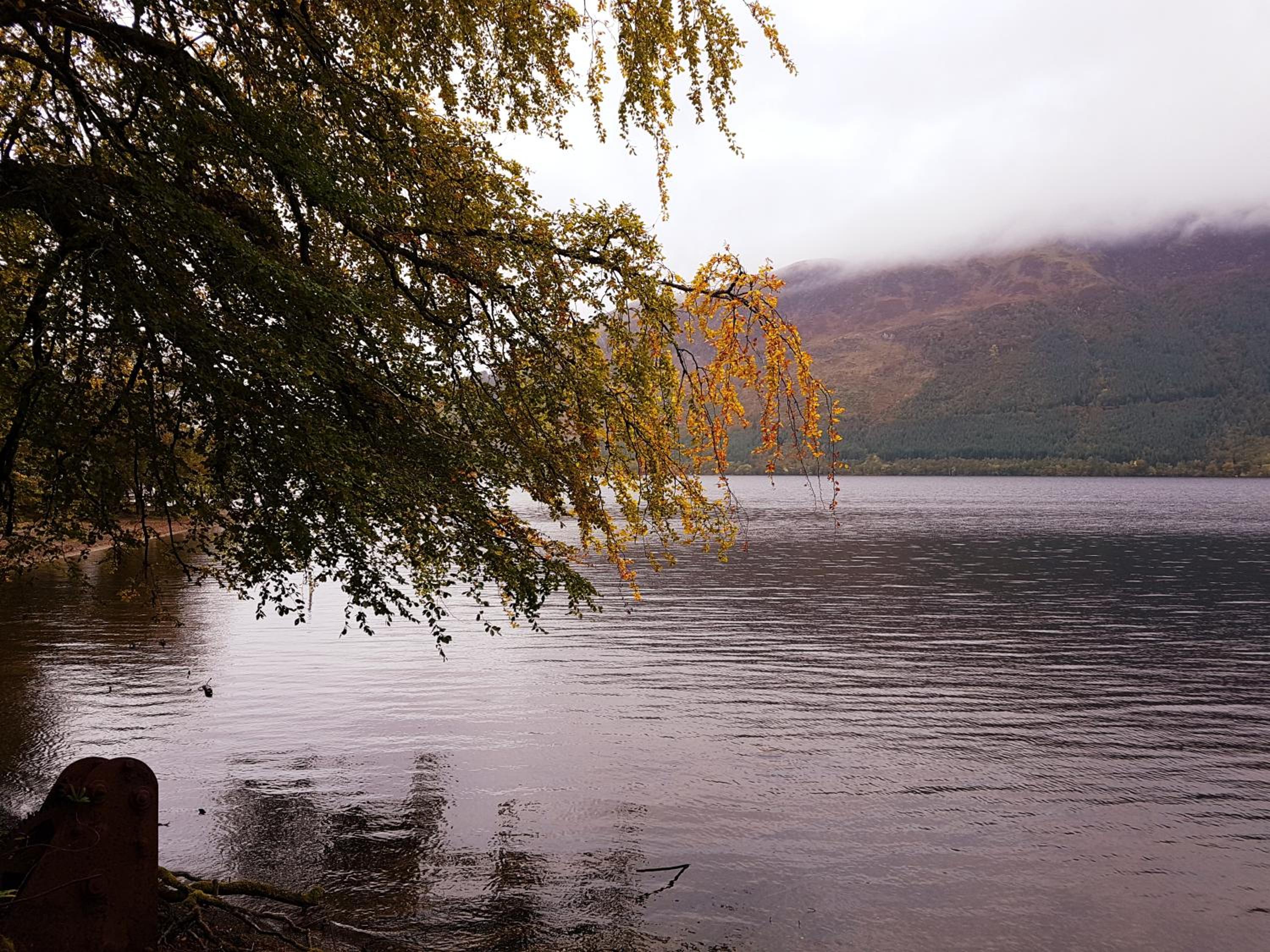 Invergloy Riverside Lodges view 2