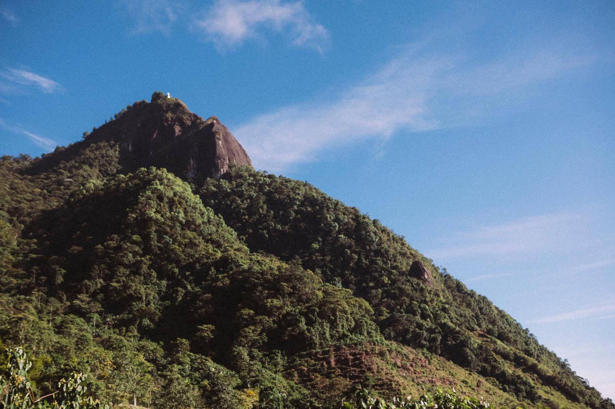Monte Mágico