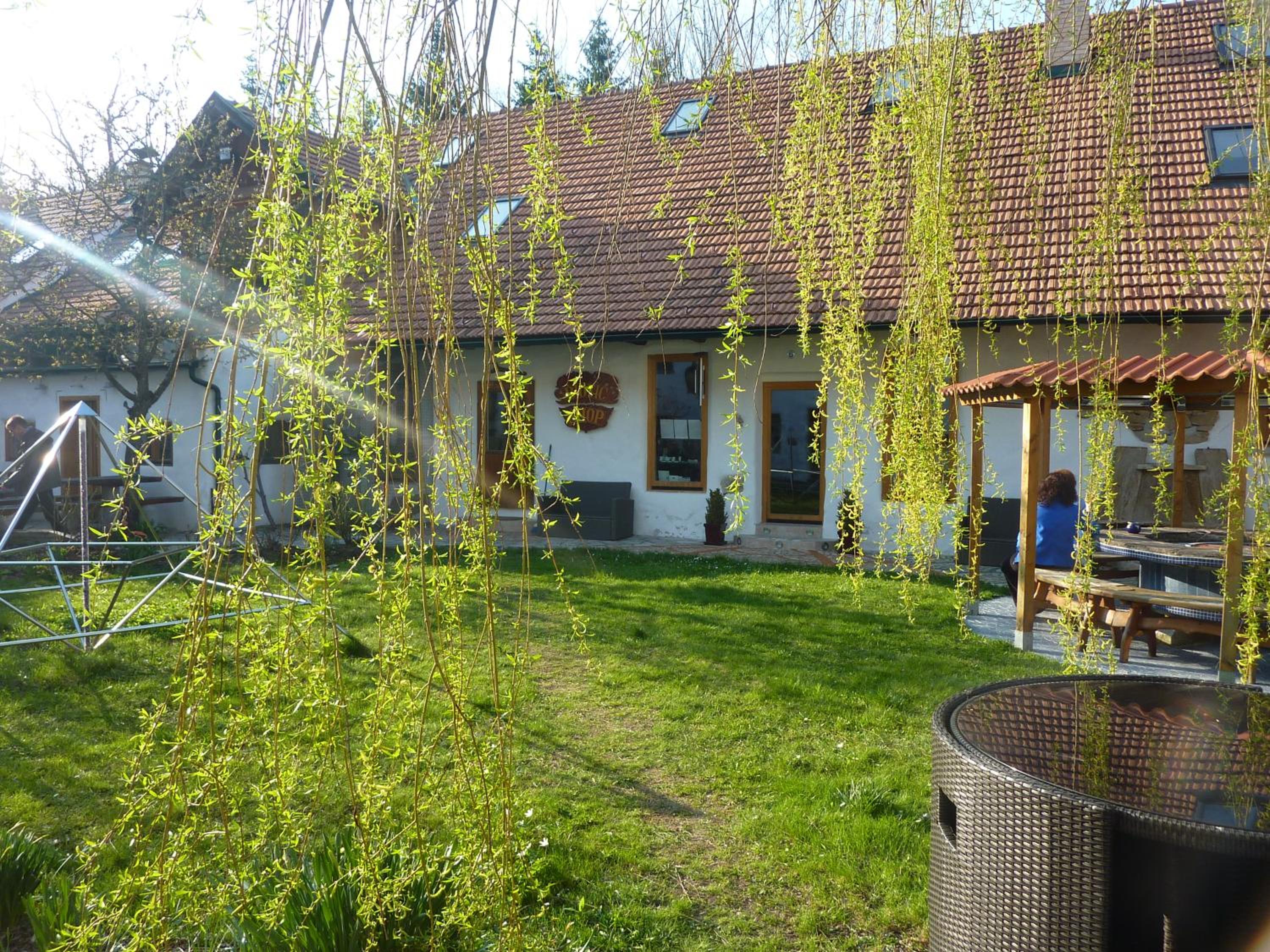 Photo 22