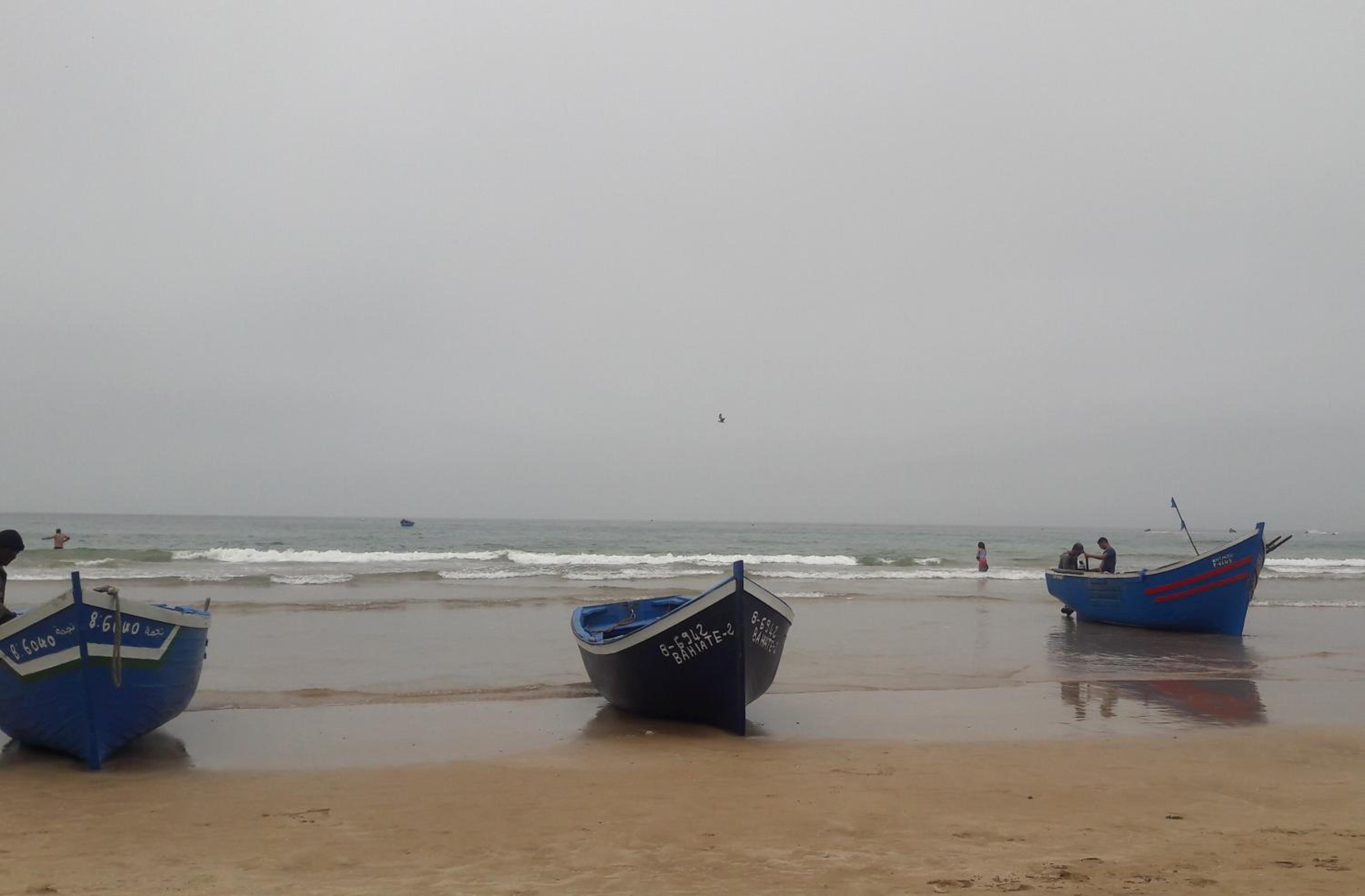 Photo 42